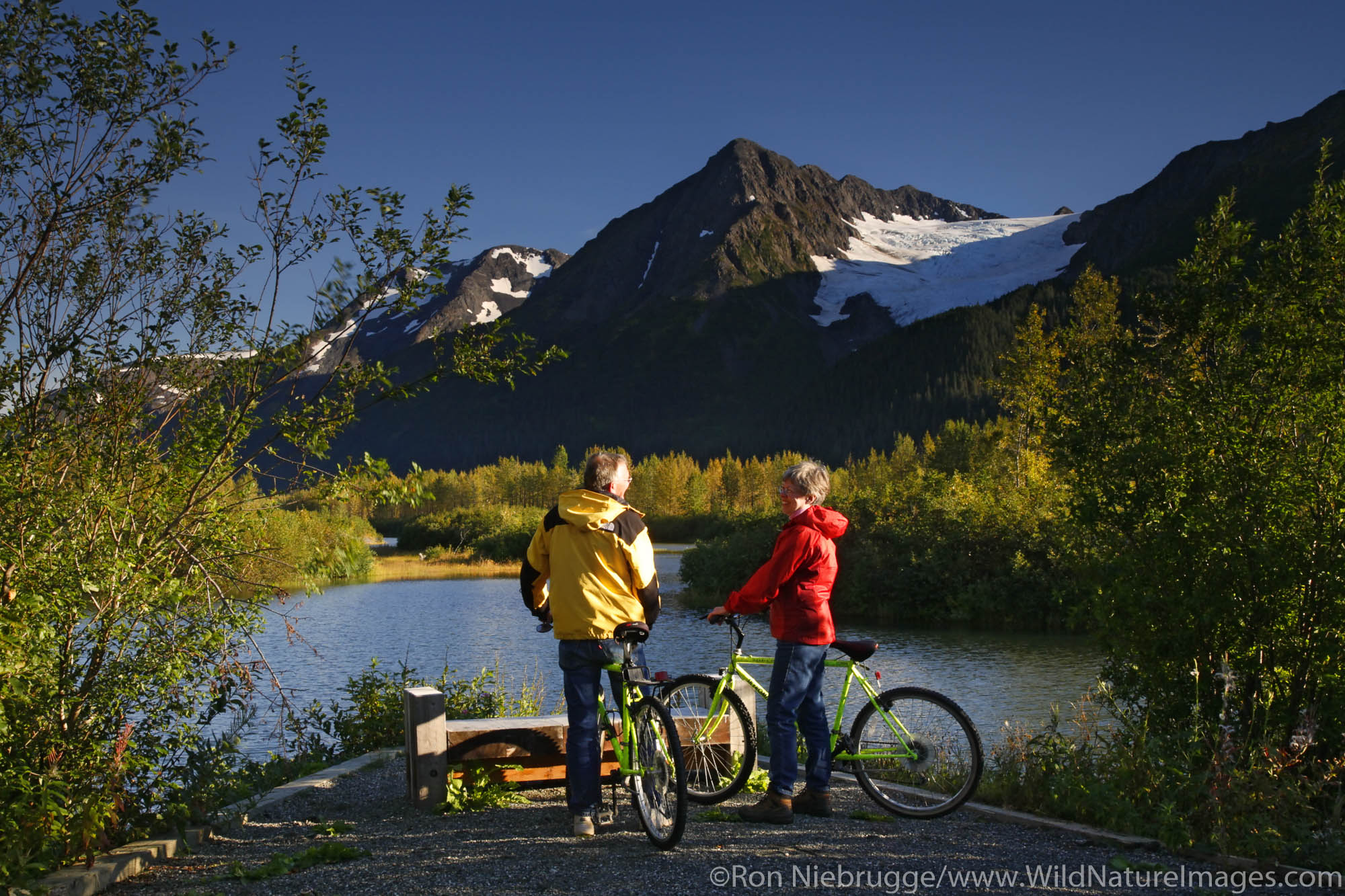 Biking in the Portage Valley Moose Flats area, Chugach National Forest, Alaska. (MR)