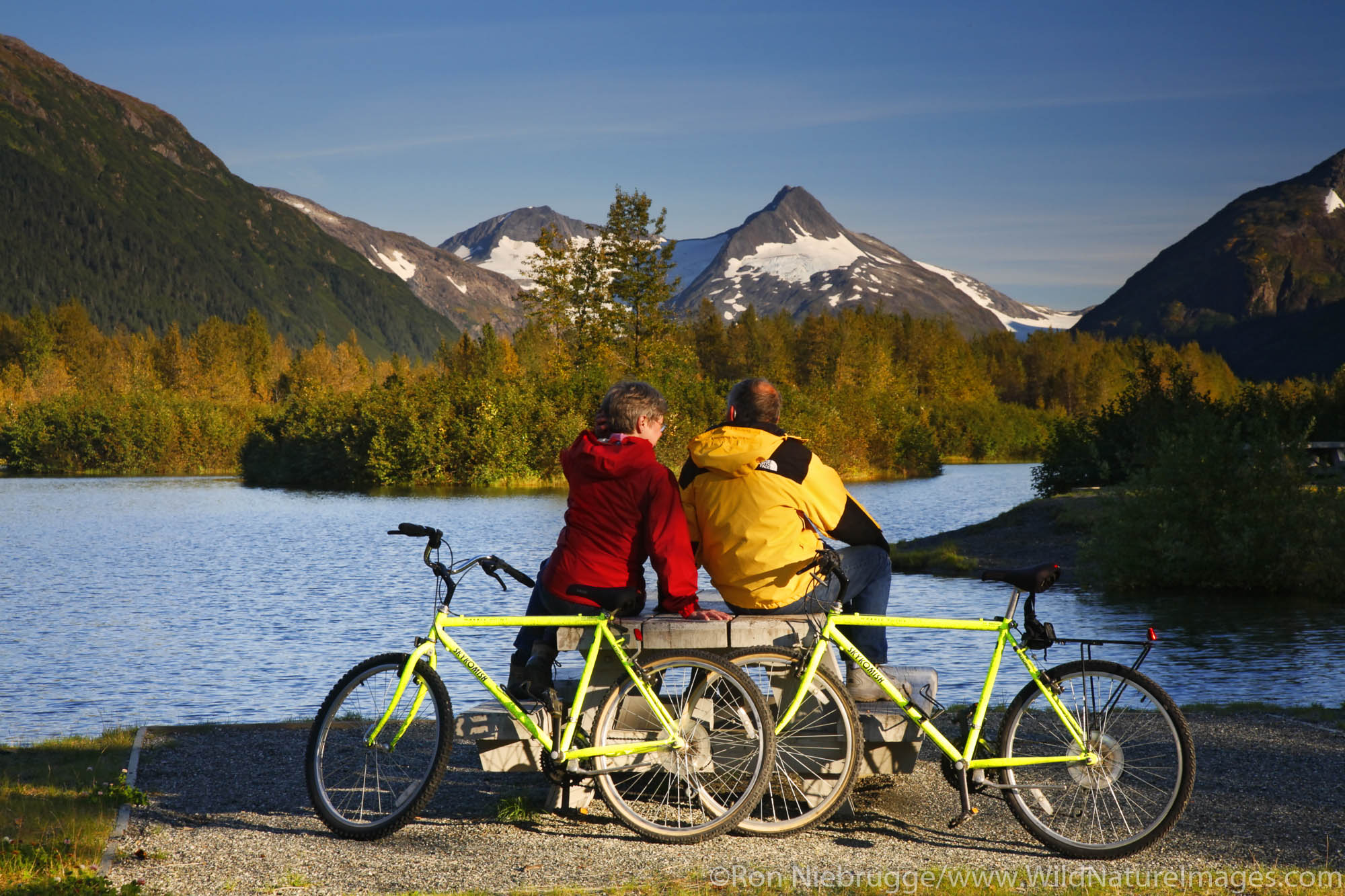 Biking in the Portage Valley Moose Flats area, Chugach National Forest, Alaska. (MR)