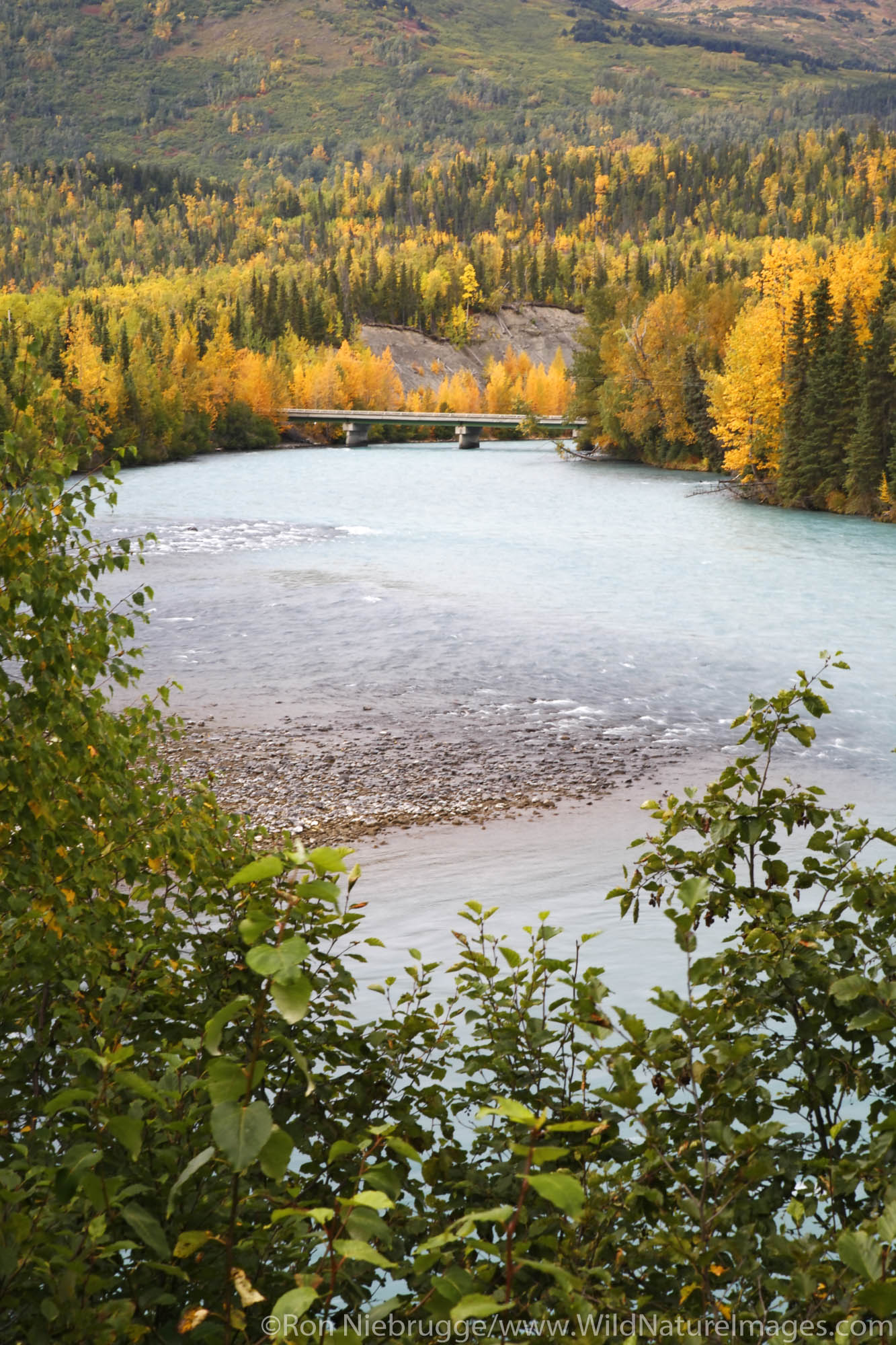 Kenai River, Kenai Peninsula, Chugach National Forest, Alaska.