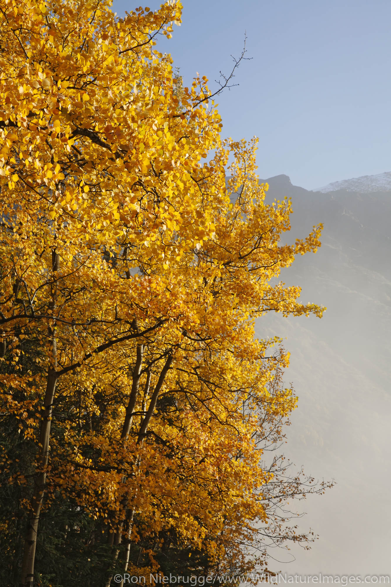 Autumn landscape, Summit Lake, Kenai Peninsula, Alaska.