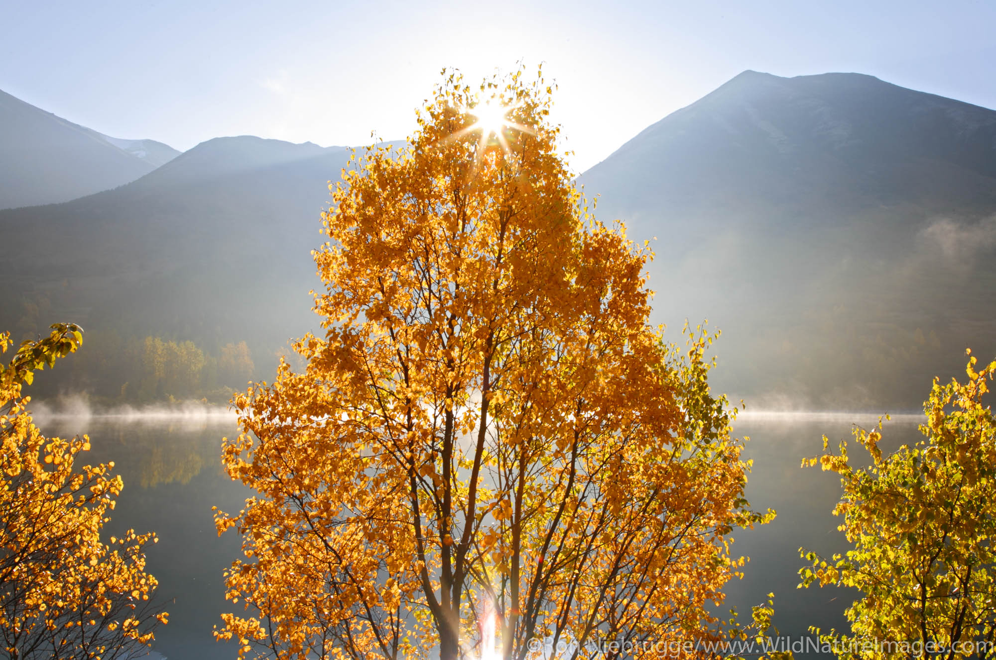 Autumn landscape, Summit Lake, Kenai Peninsula, Alaska.