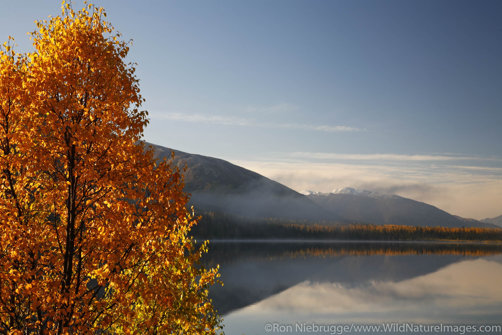 Autumn landscape, Summit Lake, Kenai Peninsula, Alaska.
