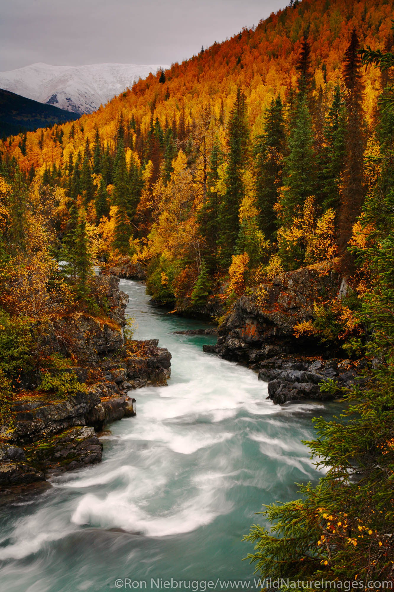 Six Mile Creek Kenai Peninsula Chugach National Forest Alaska.