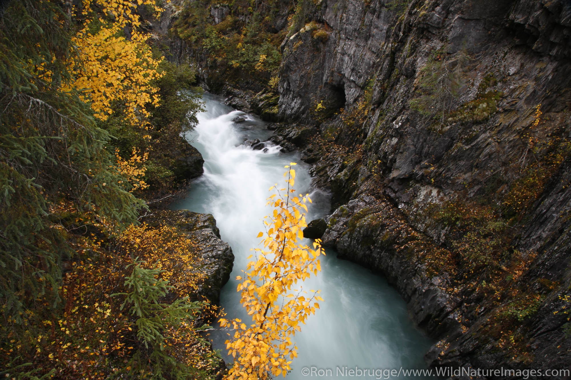 Six Mile Creek, Kenai Peninsula, Chugach National Forest, Alaska.
