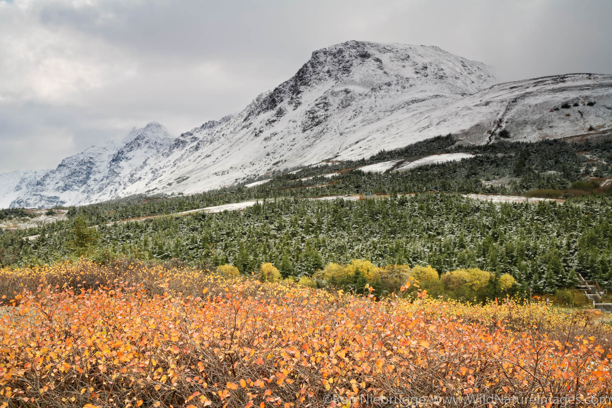 Autumn in Chugach State Park, Chugach Mountains, Anchorage, Alaska.