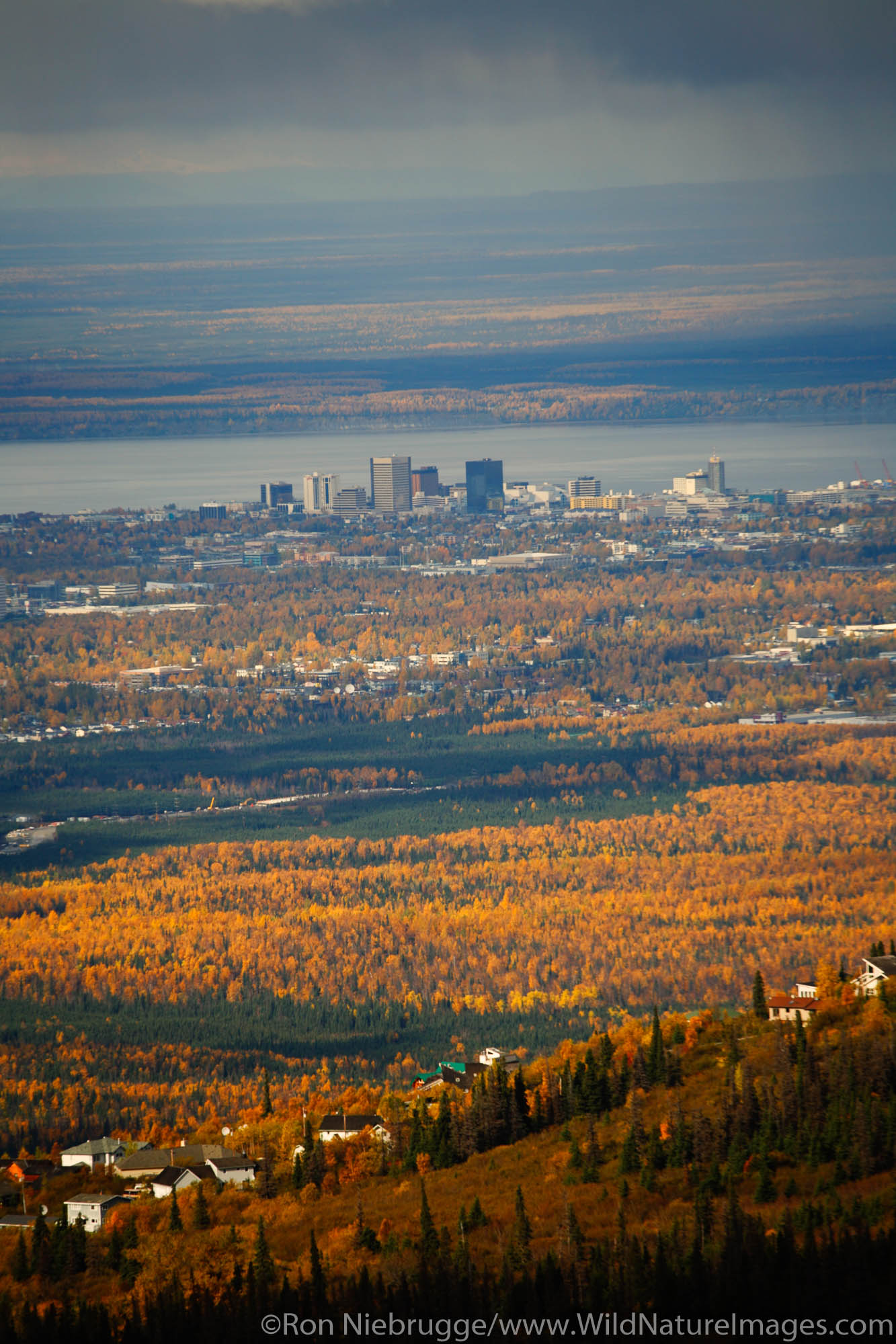 View from the hillside during the fall of Anchorage, Alaska.