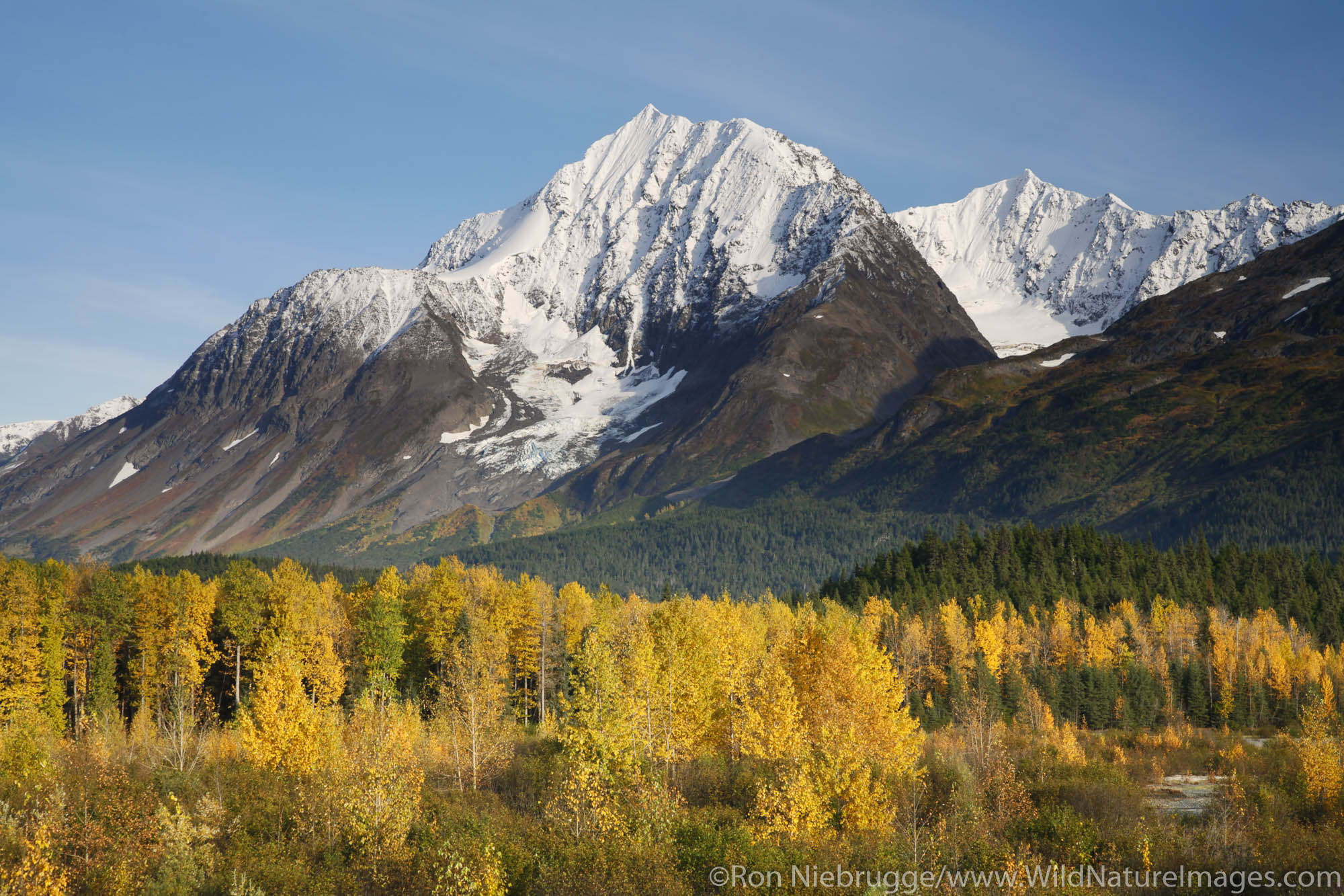 Autumn in Alaska.  Kenai Peninsula, Chugach National Forest.