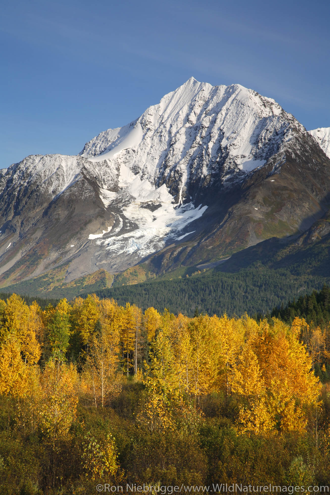 Autumn in Alaska.  Kenai Peninsula, Chugach National Forest.