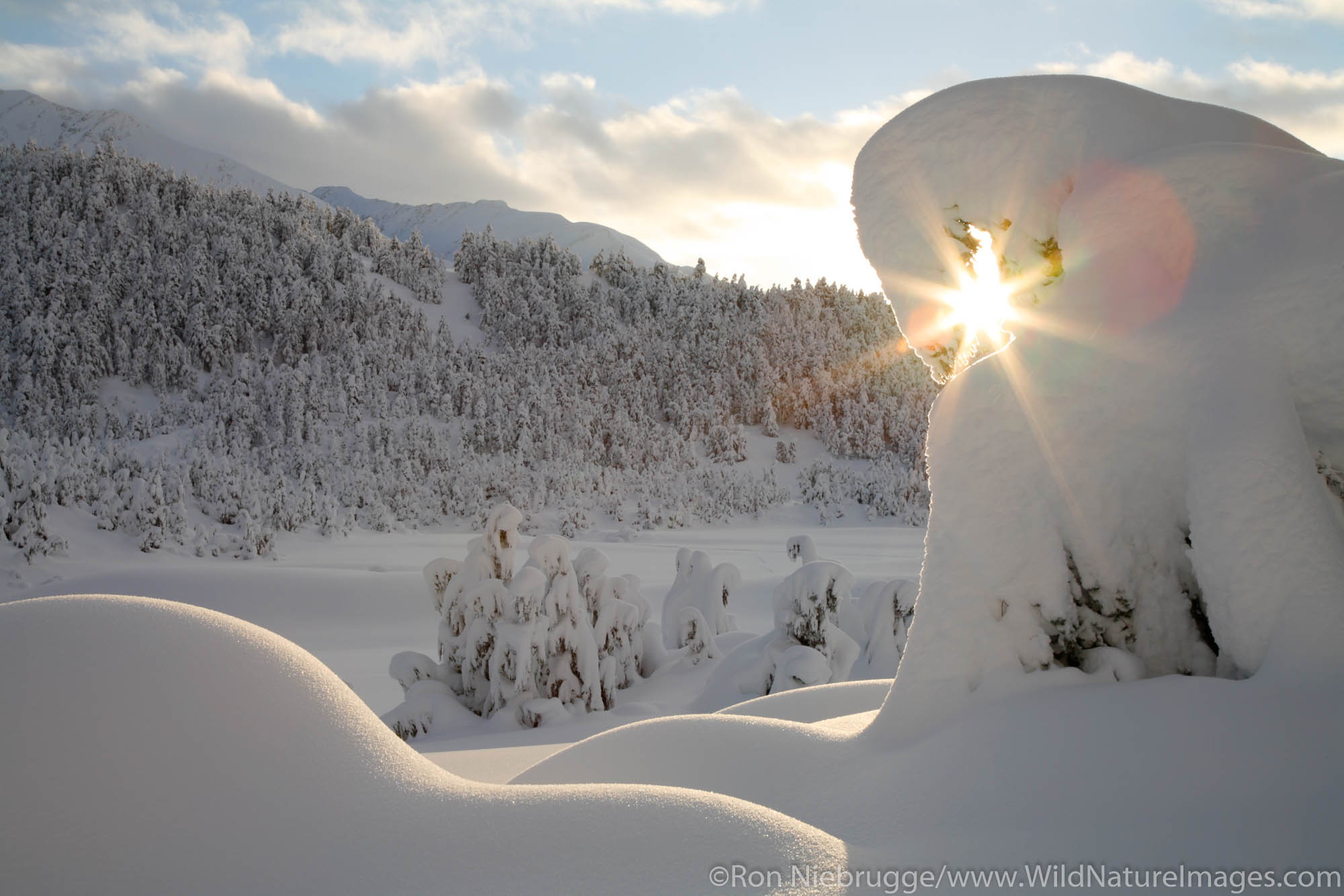 Winter in Turnagain Pass, Chugach National Forest, Alaska.