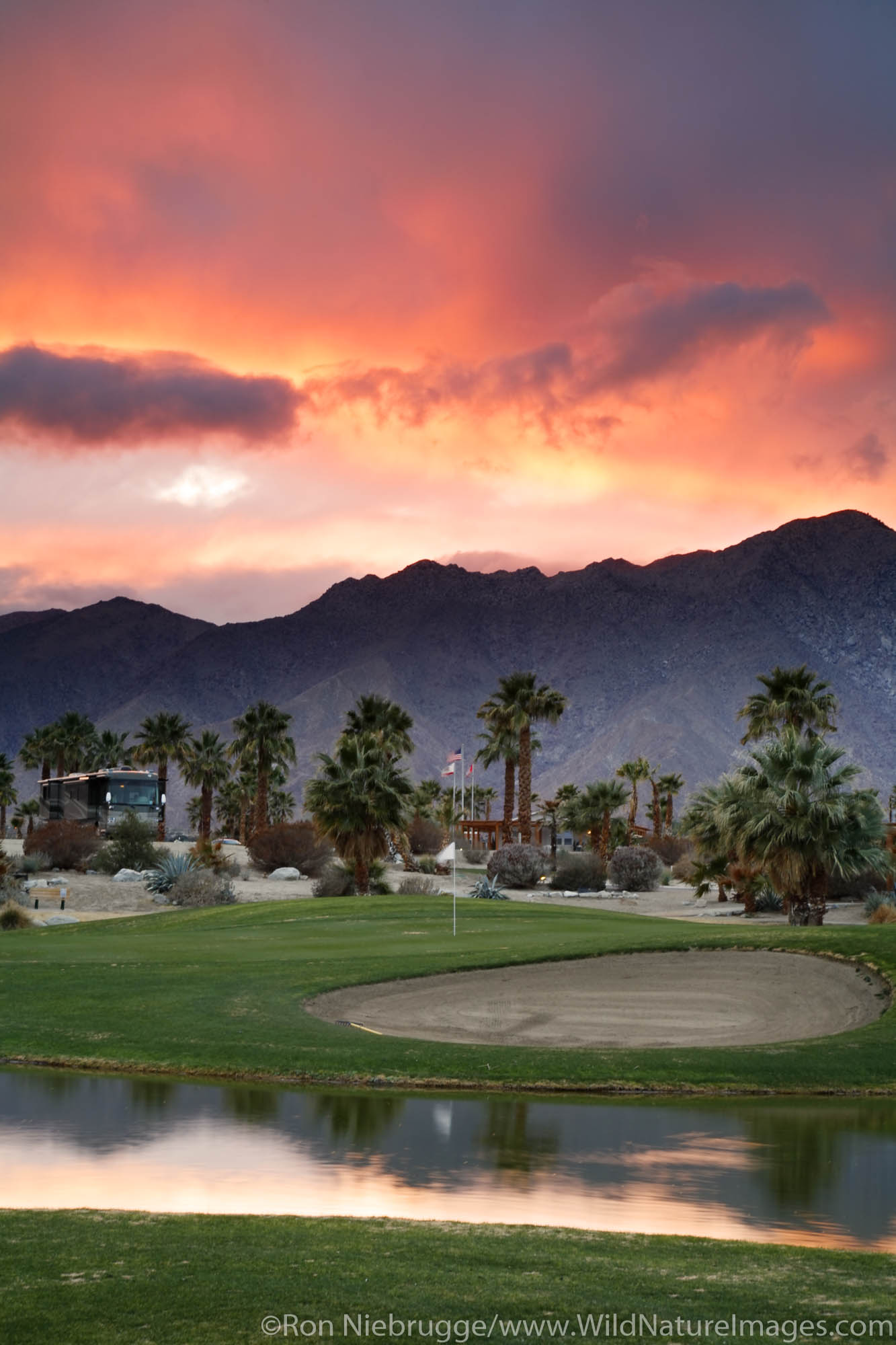 Springs at Borrego RV Resort and golf course, near Anza-Borrego Desert State Park, Borrego Springs, California.