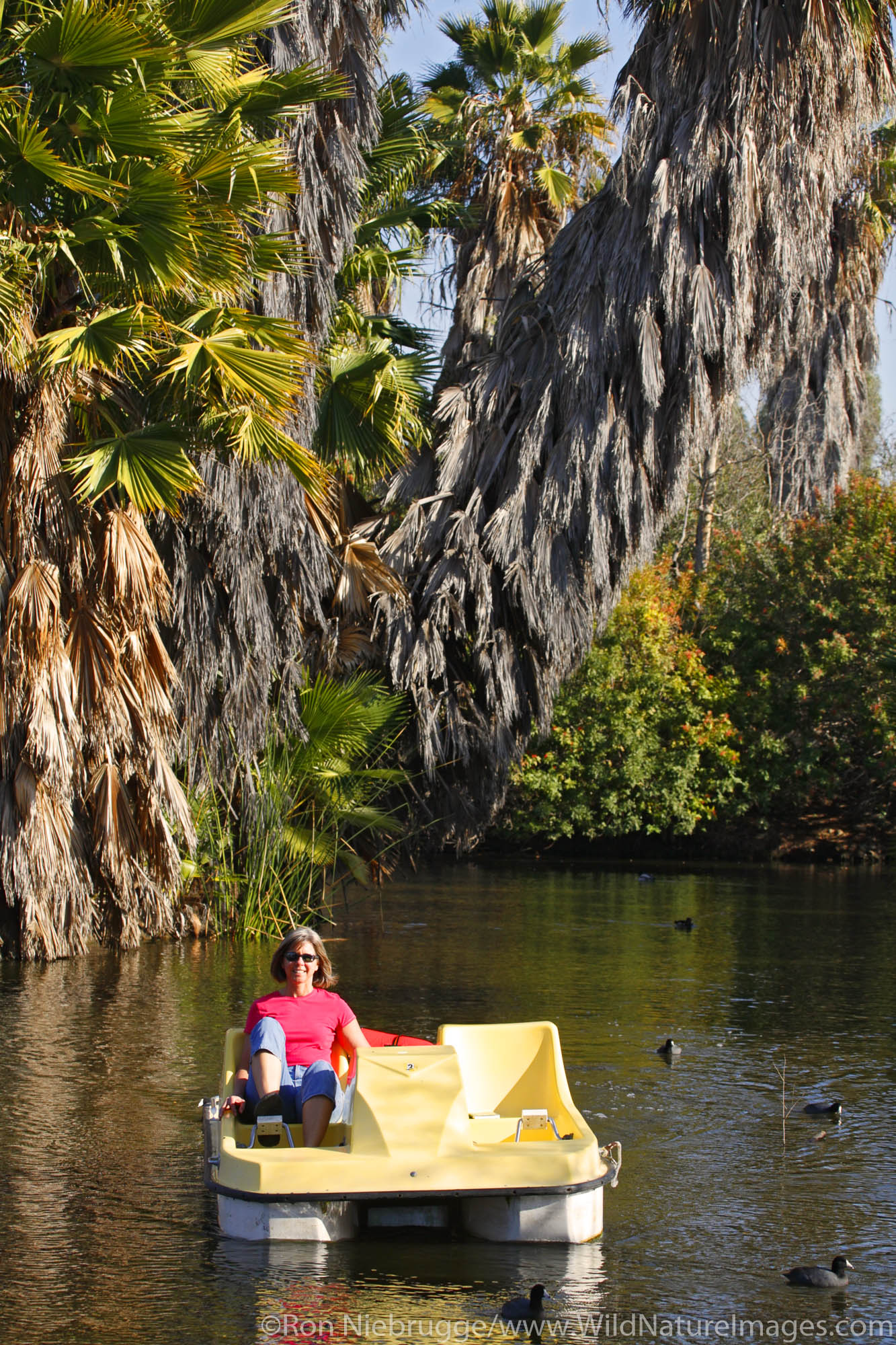 A visitor enjoys a pedal boat ride around Santee Lakes, Santee Lakes Recreation Preserve, Santee, California.