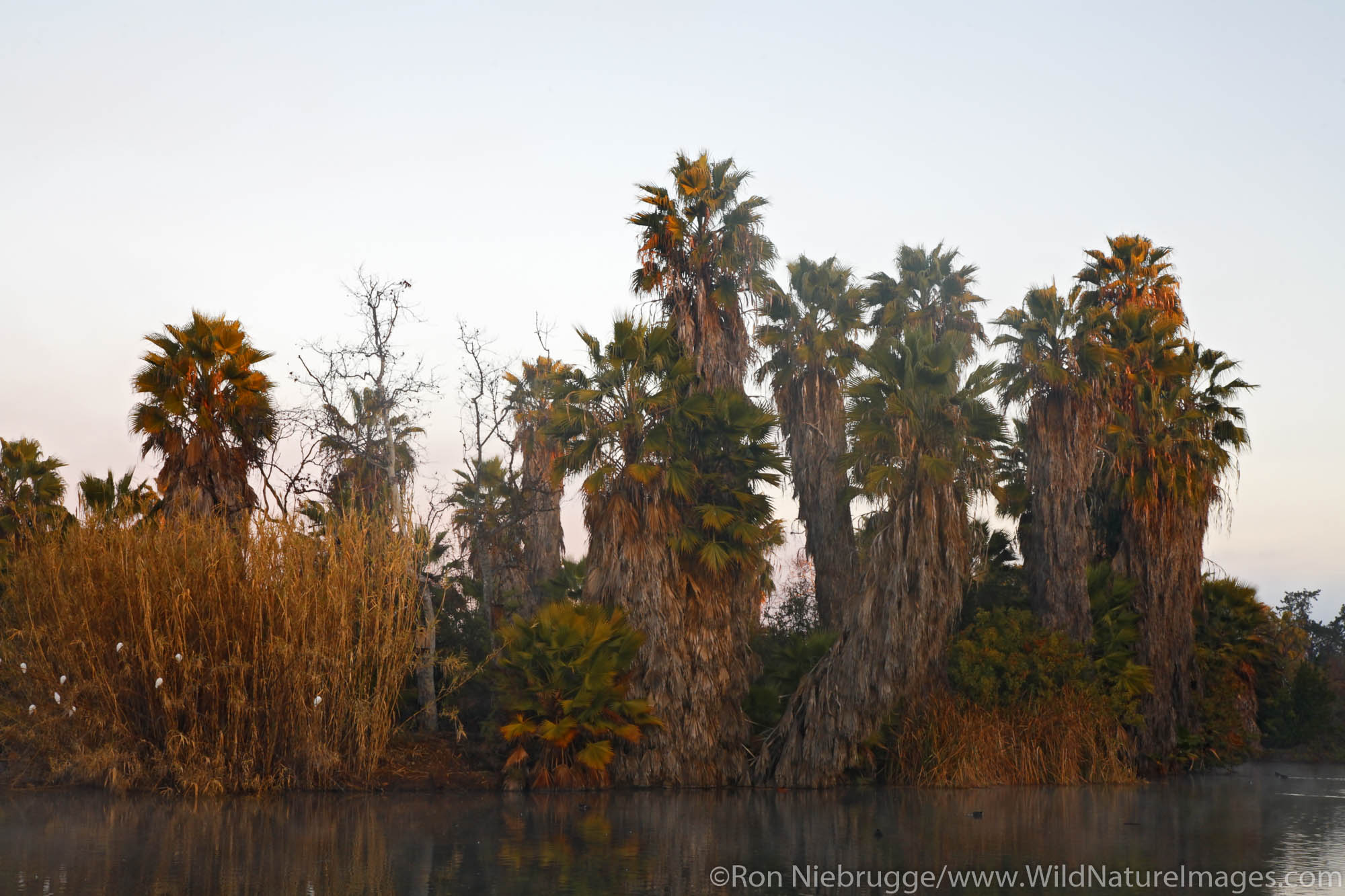 Santee Lakes, Santee Lakes Recreation Preserve, Santee, California.