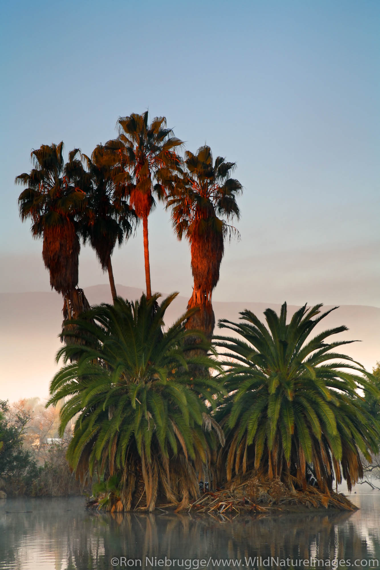 Santee Lakes, Santee Lakes Recreation Preserve, Santee, California.