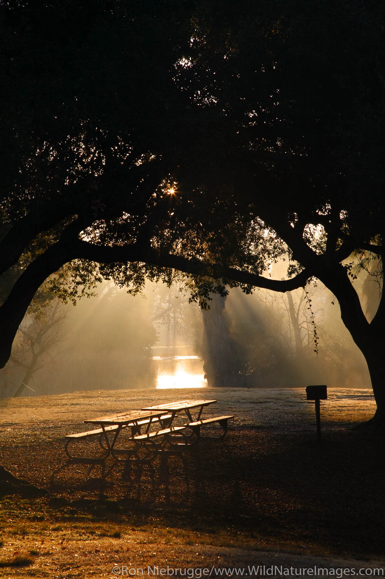 Santee Lakes, Santee Lakes Recreation Preserve, Santee, California.