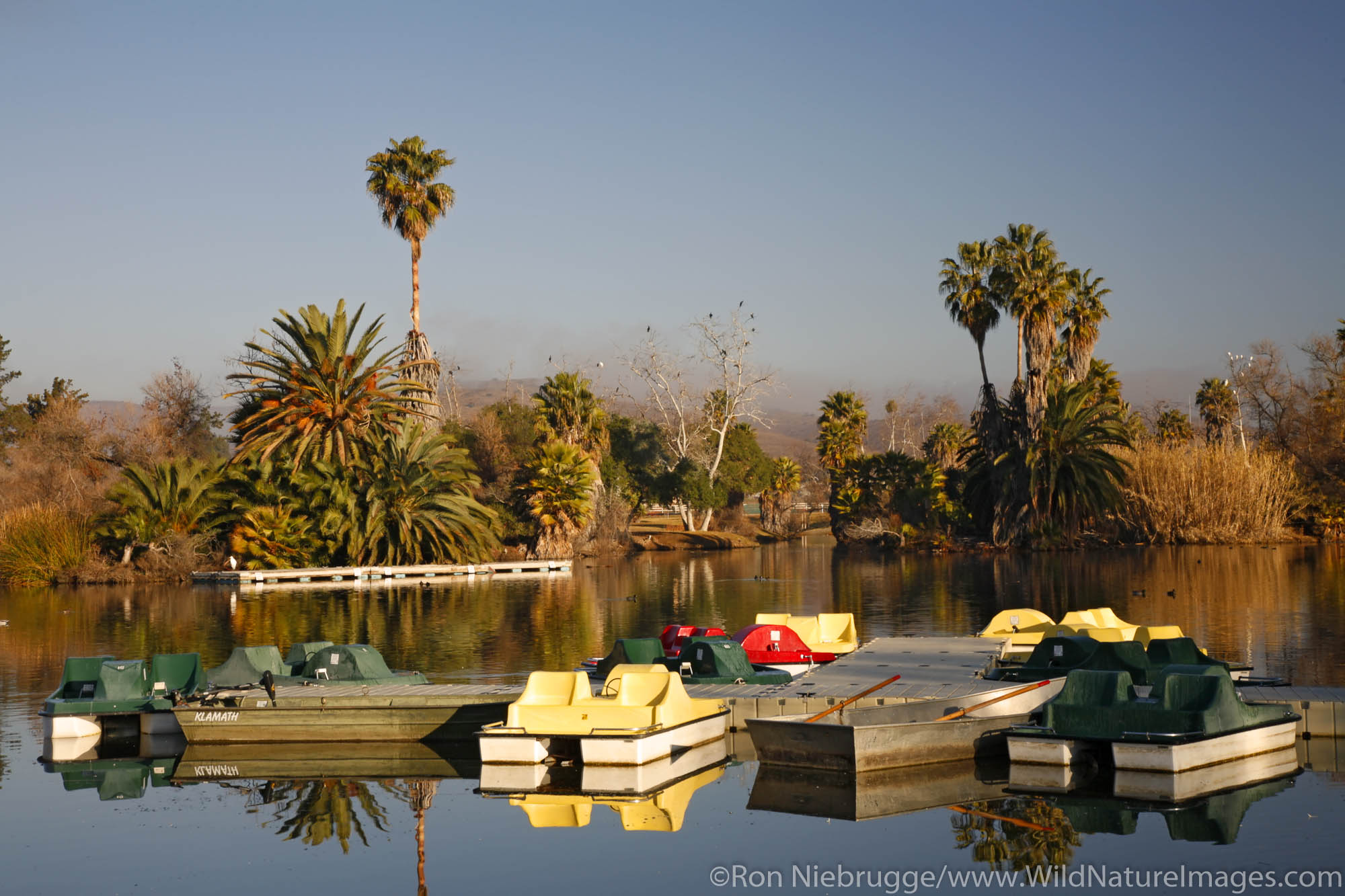 Pedal boats at Santee Lakes, Santee Lakes Recreation Preserve, Santee, California.
