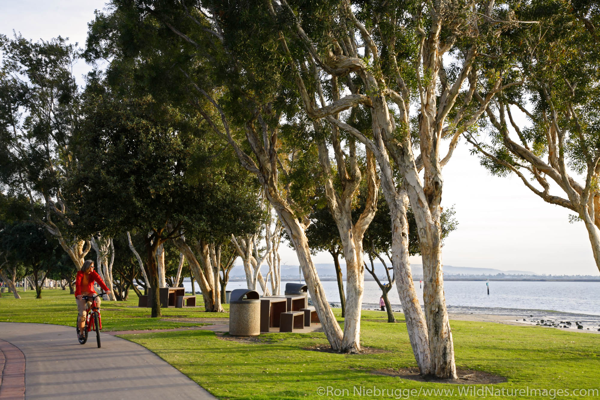 A visitor riding a bike along San Diego Bay, Chula Vista, California. (model released)