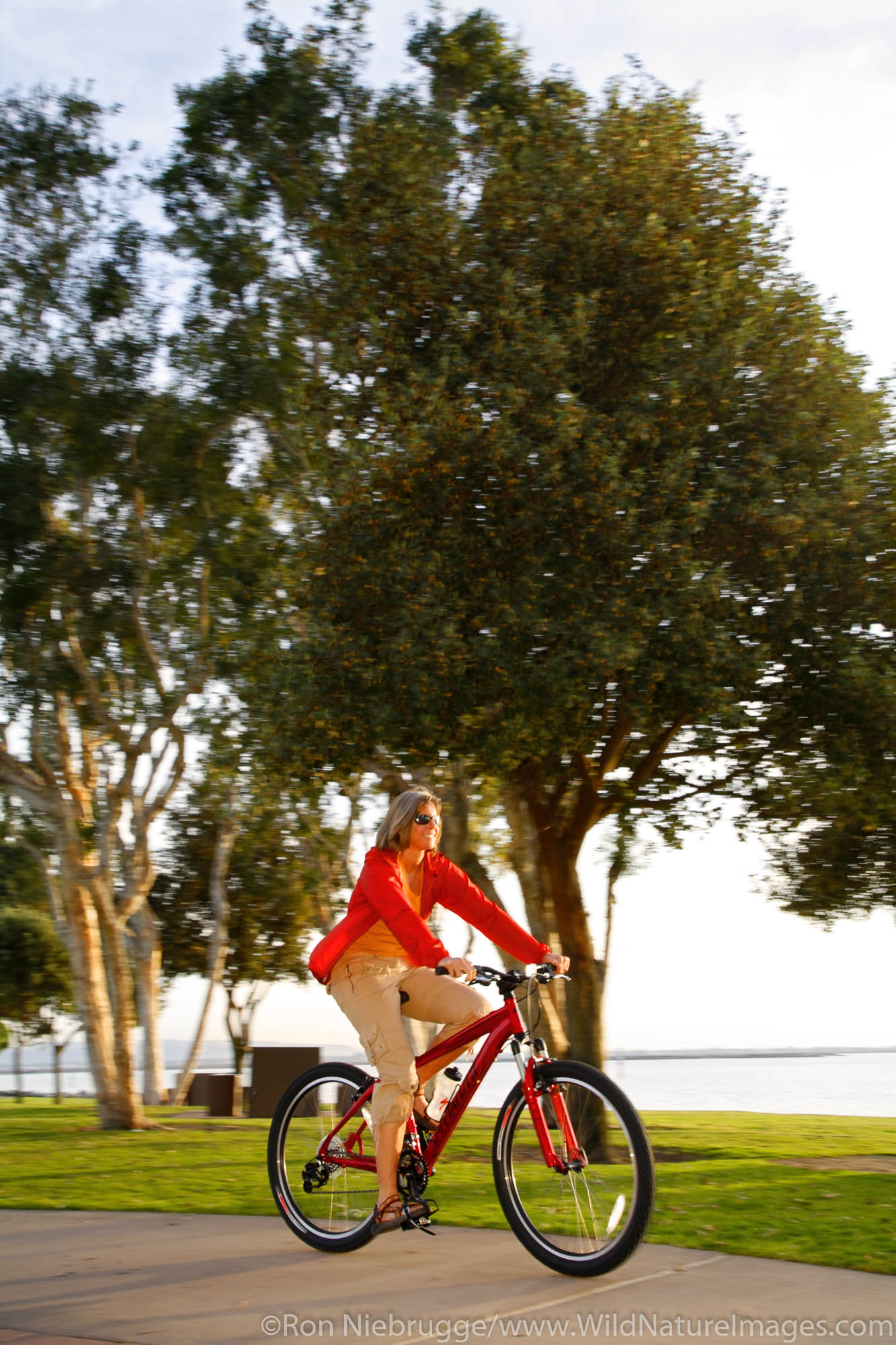 A visitor riding a bike along San Diego Bay, Chula Vista, California. (model released)