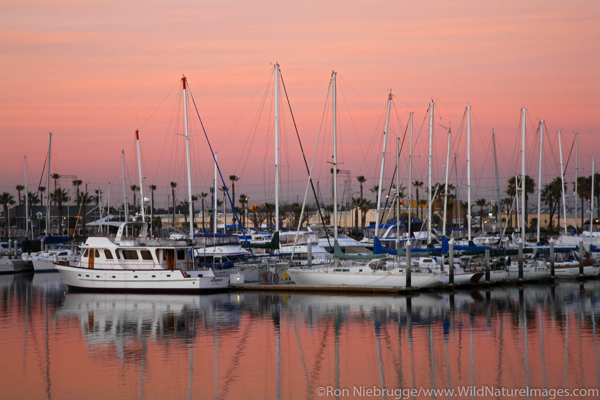 The Chula Vista Marina at sunset, Chula Vista, California.