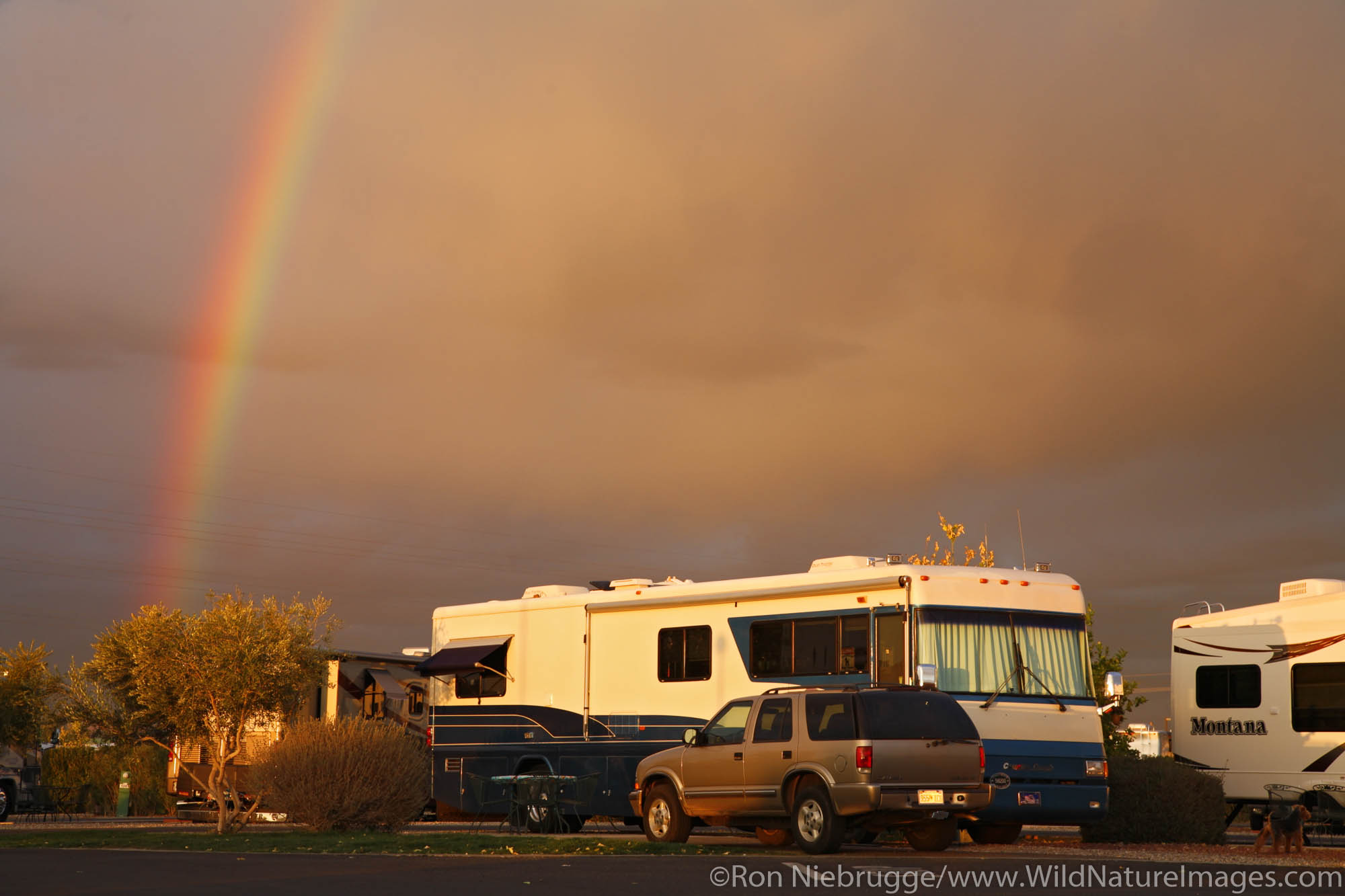 Beaudry RV Resort, Tucson, Arizona.