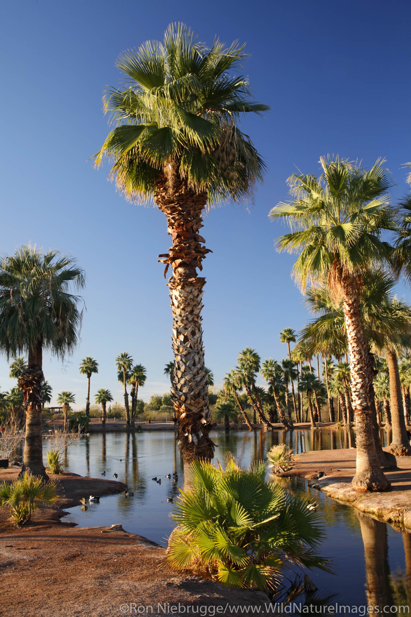 Papago Park, Phoenix, Arizona.