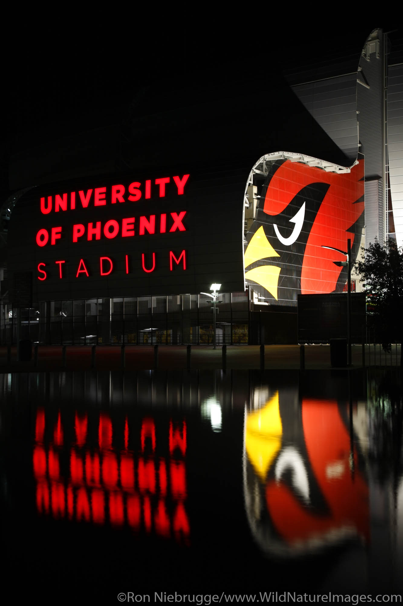 The University of Phoenix Stadium, Home of the professional football team Arizona Cardindals, Glendale, Arizona.