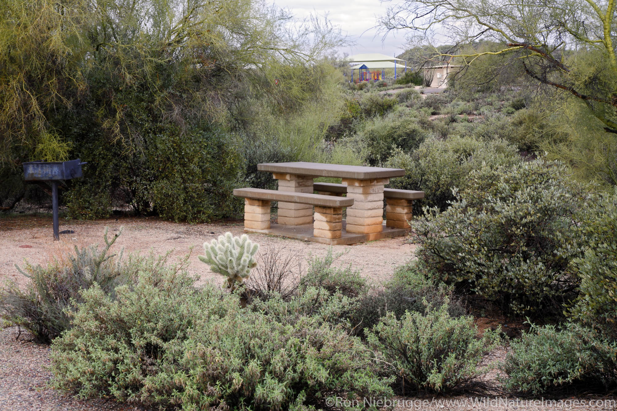 Picnic table in McDowell Mountain Regional Park, East of Phoenix near Fountain Hills, Arizona.