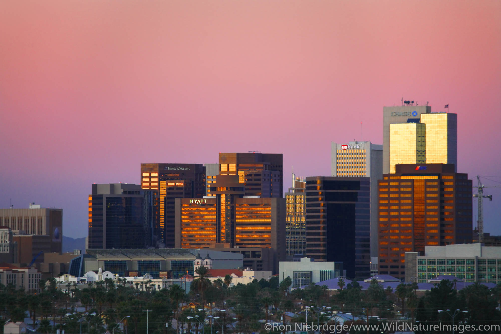 The downtown skyline, Phoenix, Arizona.