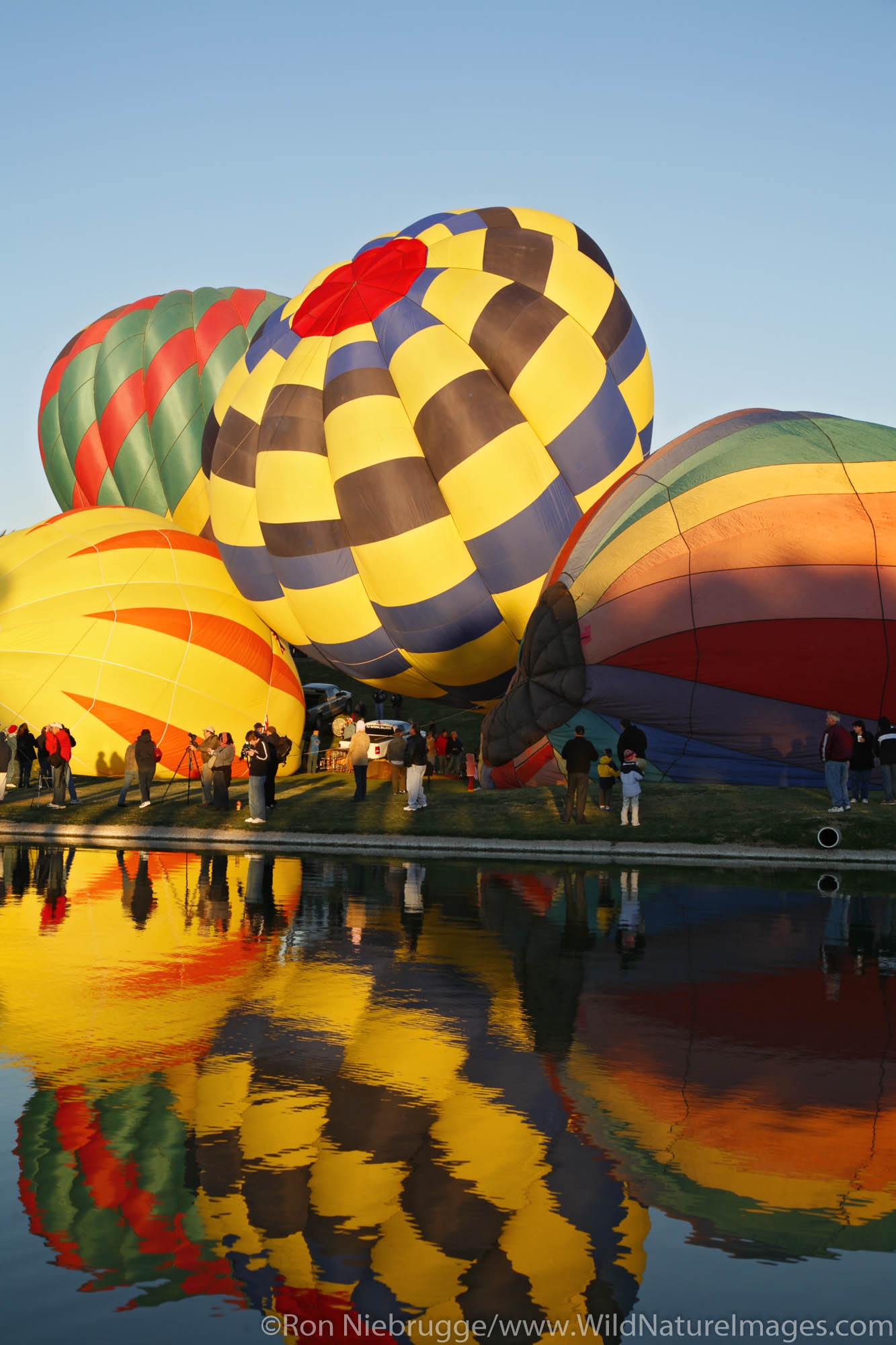 Hot air balloons participate in a rally as part of the Fountain Hills Great Fair, Fountain Hills, near Phoenix, Arizona.