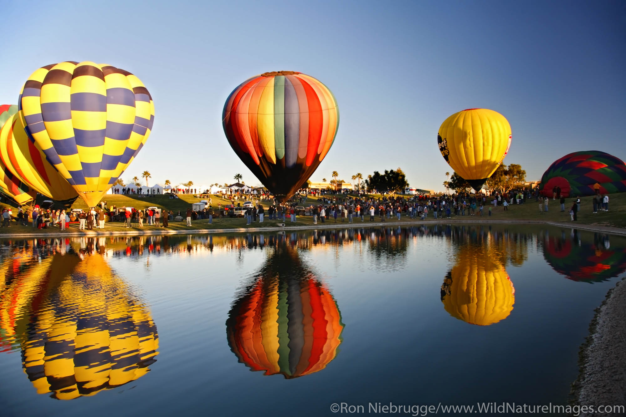 Hot air balloons participate in a rally as part of the Fountain Hills Great Fair, Fountain Hills, near Phoenix, Arizona.