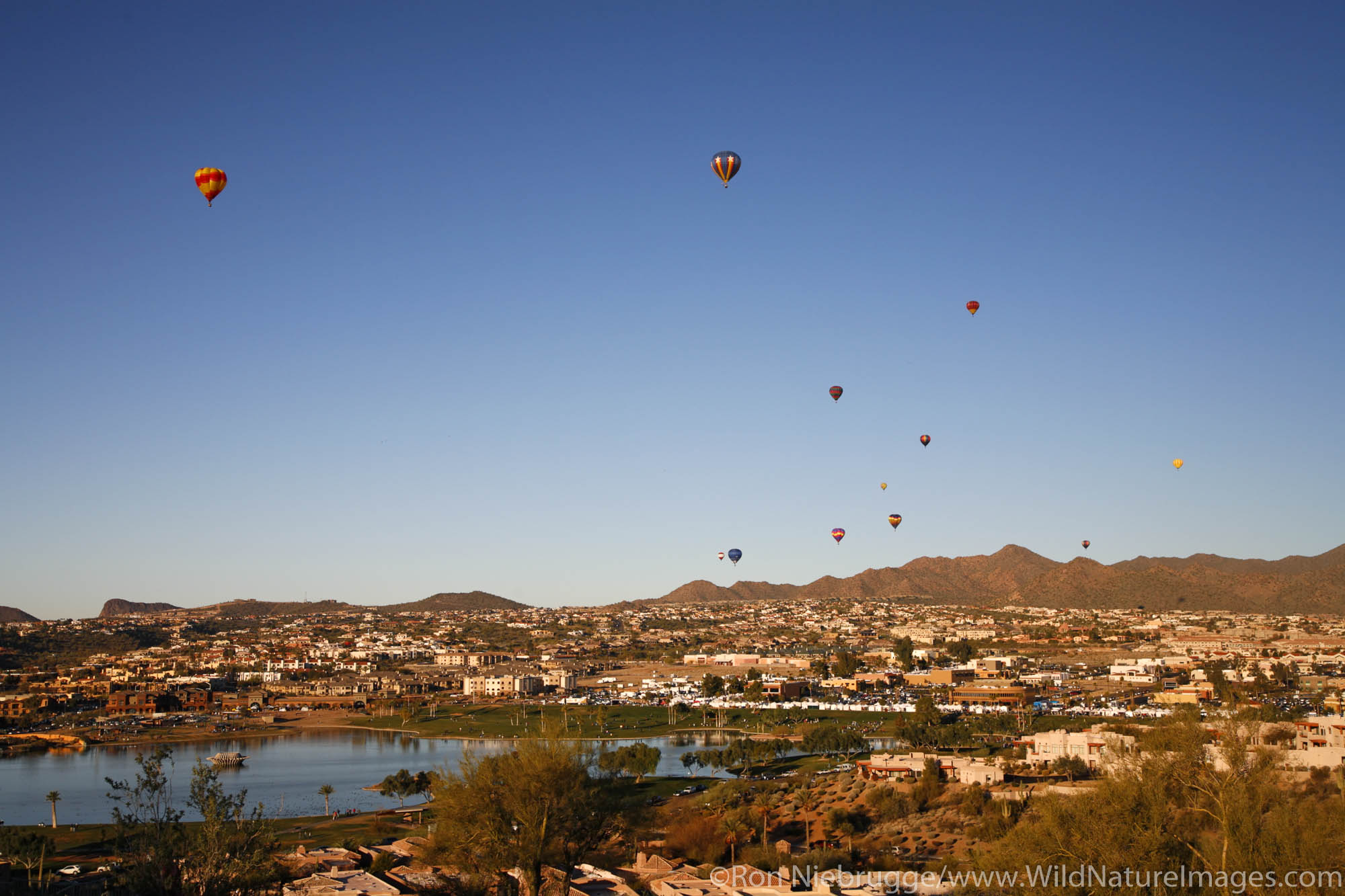 Hot air balloons participate in a rally as part of the Fountain Hills Great Fair, Fountain Hills, near Phoenix, Arizona.