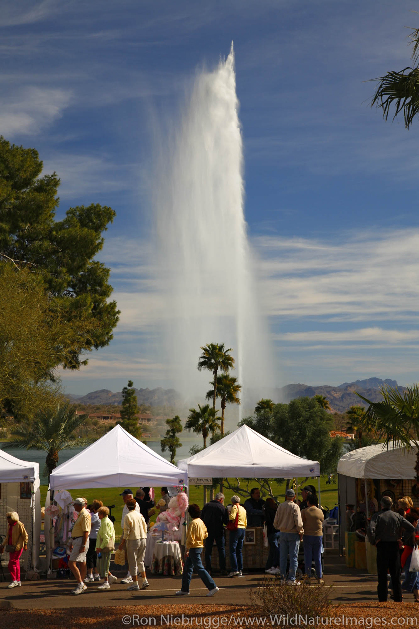 Visitors and vendor booths at the Fountain Hills Great Fair, Fountain Hills, near Phoenix, Arizona.