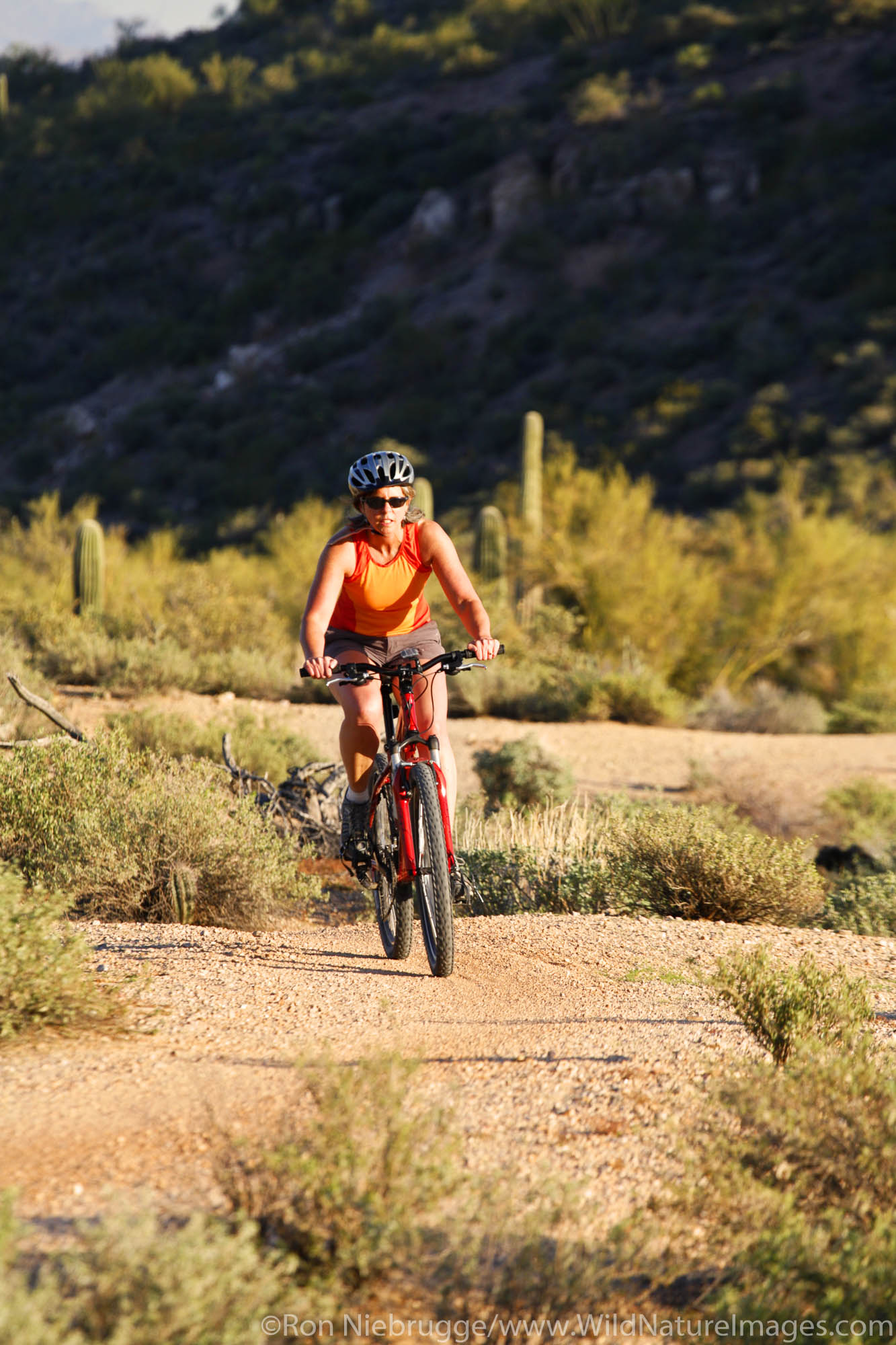 Mountain Biking on the Competive Trails in McDowell Mountain Regional Park, near Fountain Hills, east of Phoenix, Arizona. (model...