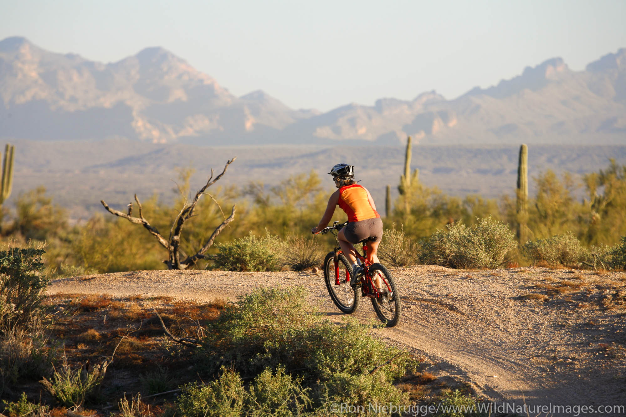 Mountain Biking on the Competive Trails in McDowell Mountain Regional Park, near Fountain Hills, east of Phoenix, Arizona. (model...