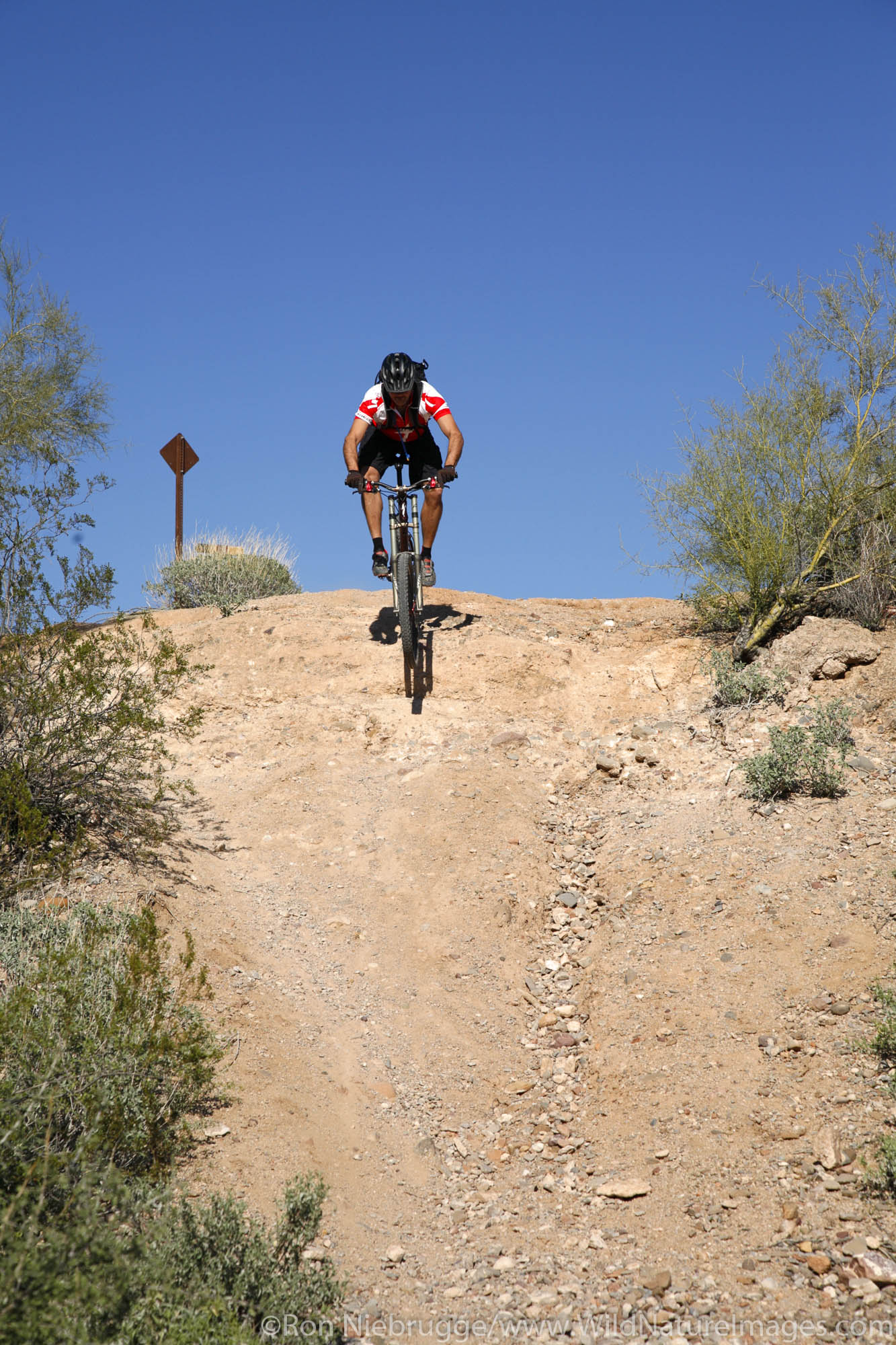 A mountain biker leaps off a ledge on the Technical Loop, one of the competitive race tracks at McDowell Mountain Regional Park...