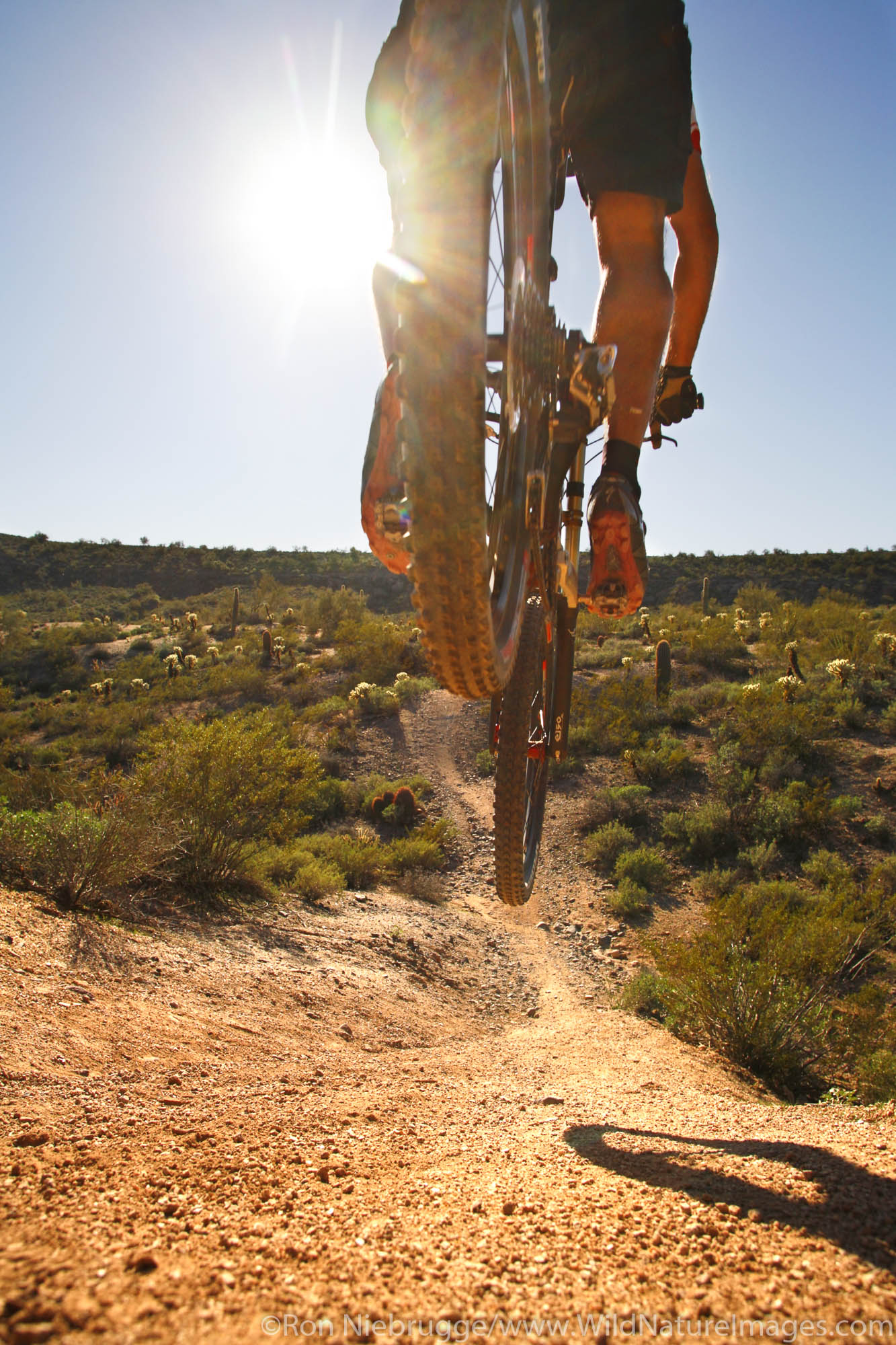 A mountain biker leaps off a ledge on the Technical Loop, one of the competitive race tracks at McDowell Mountain Regional Park...