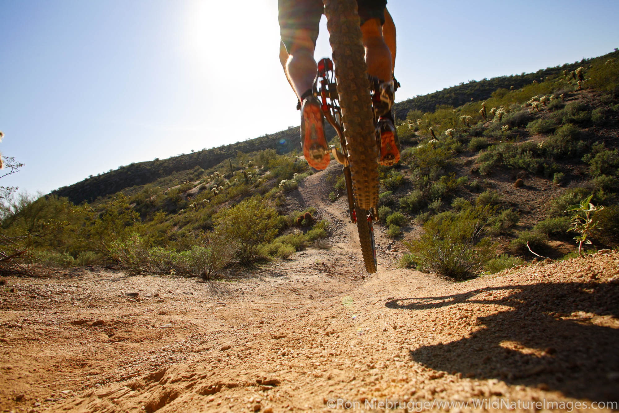 A mountain biker leaps off a ledge on the Technical Loop, one of the competitive race tracks at McDowell Mountain Regional Park...
