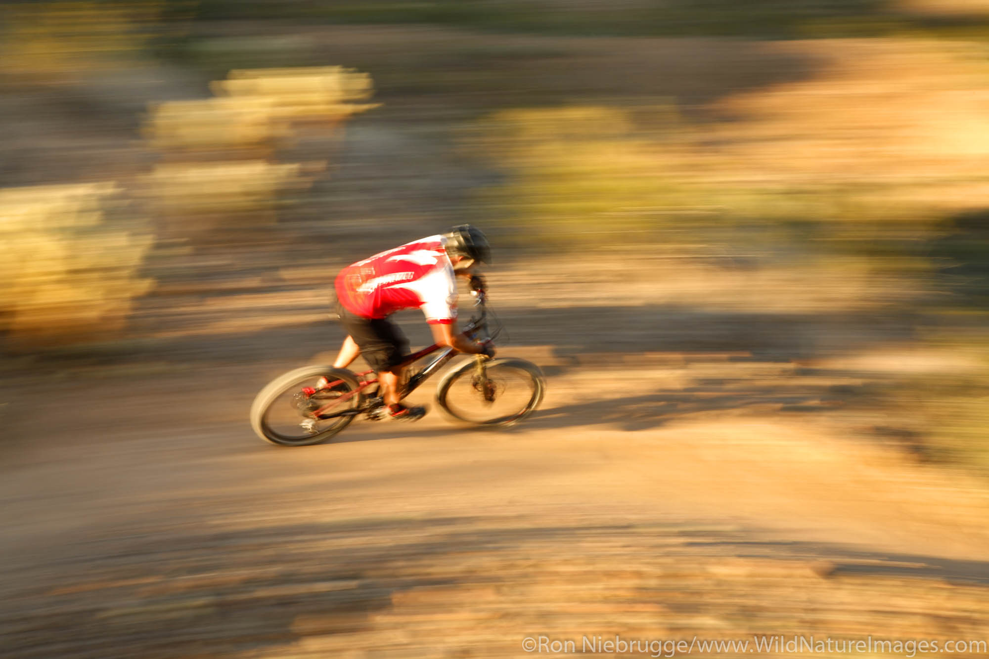 A mountain biker on the Technical Loop, one of the competitive race tracks at McDowell Mountain Regional Park near Phoenix, Ariziona...