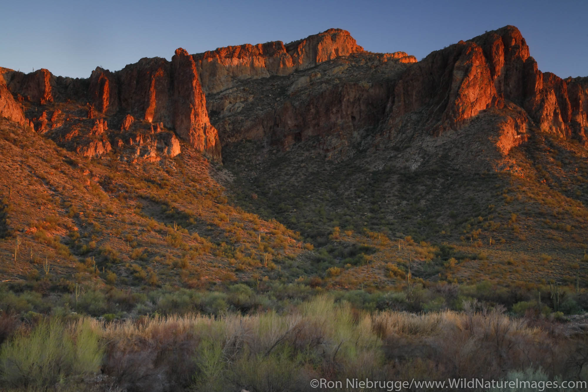Tonto National Forest along the Salt River, near Phoenix, Arizona.