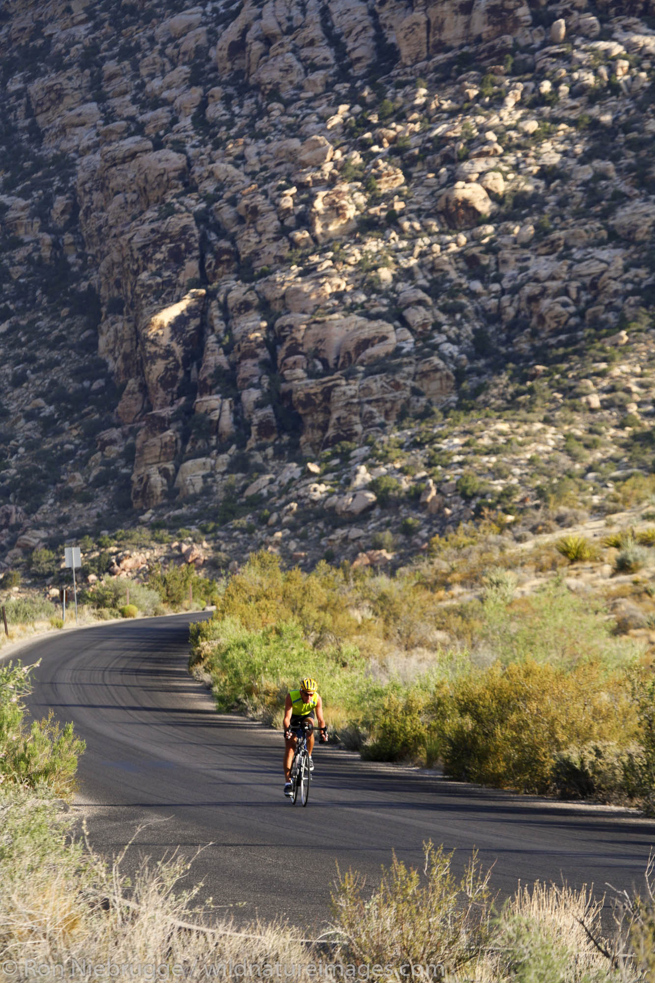 A bike rider on the Scenic Drive through Red Rock Canyon, Las Vegas, Nevada.