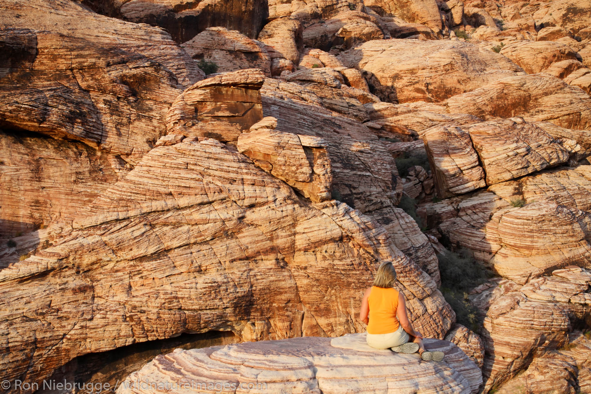 A visitor (MR) enjoys the Calico Hills in Red Rock Canyon, Las Vegas, Nevada. (model released)