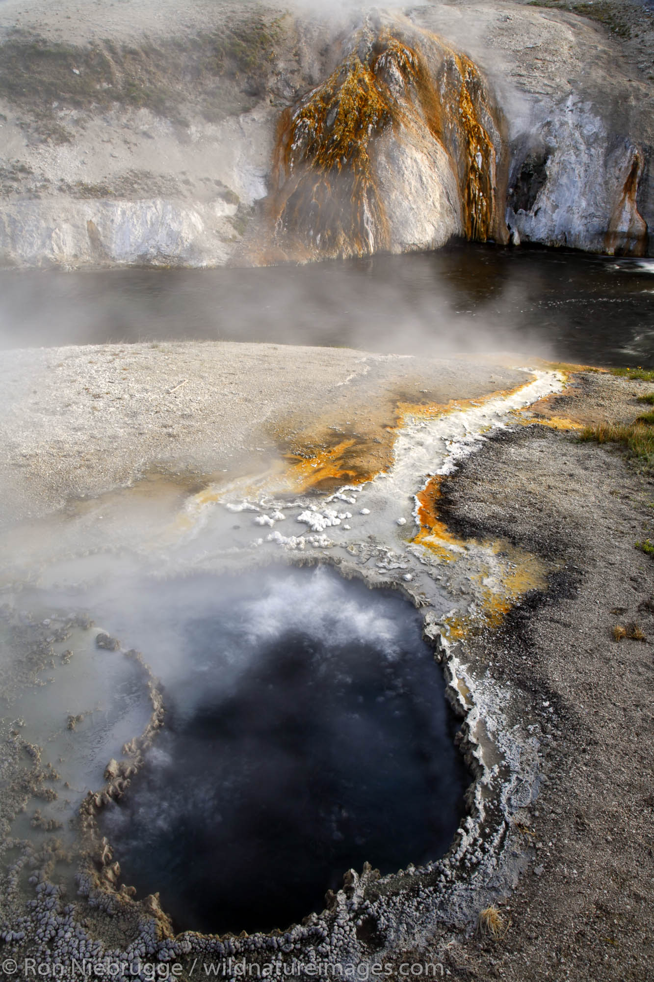 Chinese Spring and the Firehole River, Yellowstone National Park, Wyoming.