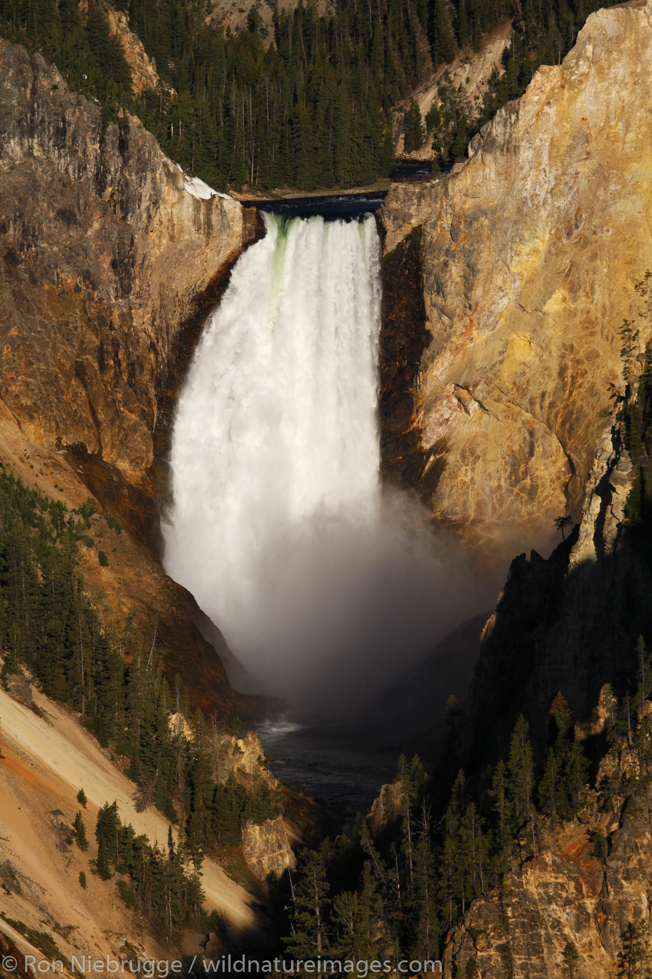 The Lower Falls of the Grand Canyon from Artist Point, Yellowstone National Park, Wyoming.