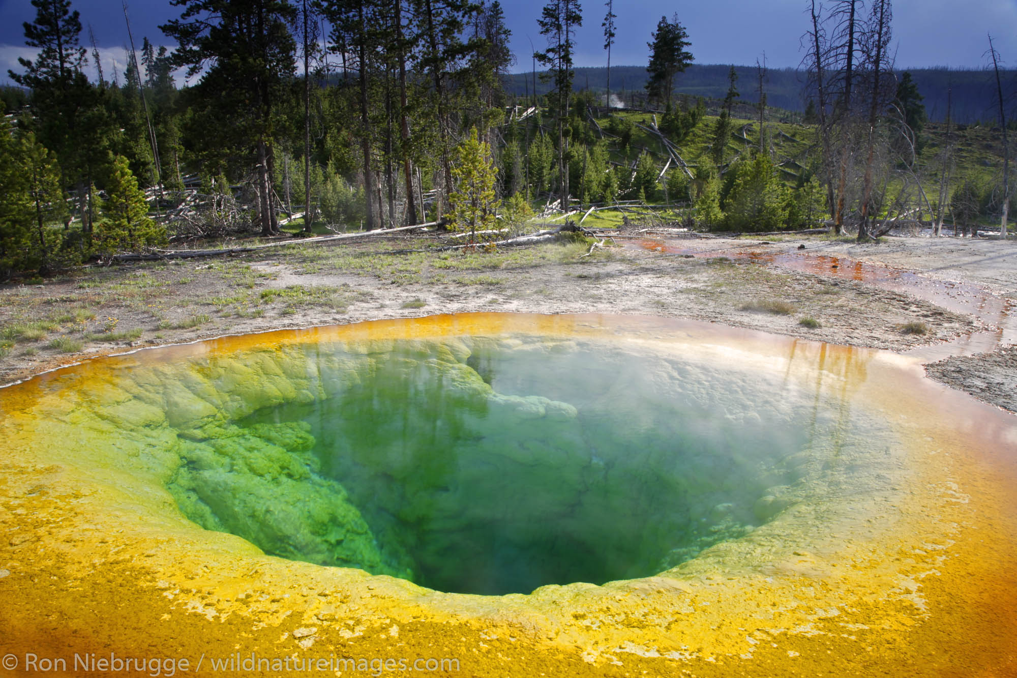 Morning Glory Pool, Upper Geyser Basin, Yellowstone National Park, Wyoming.