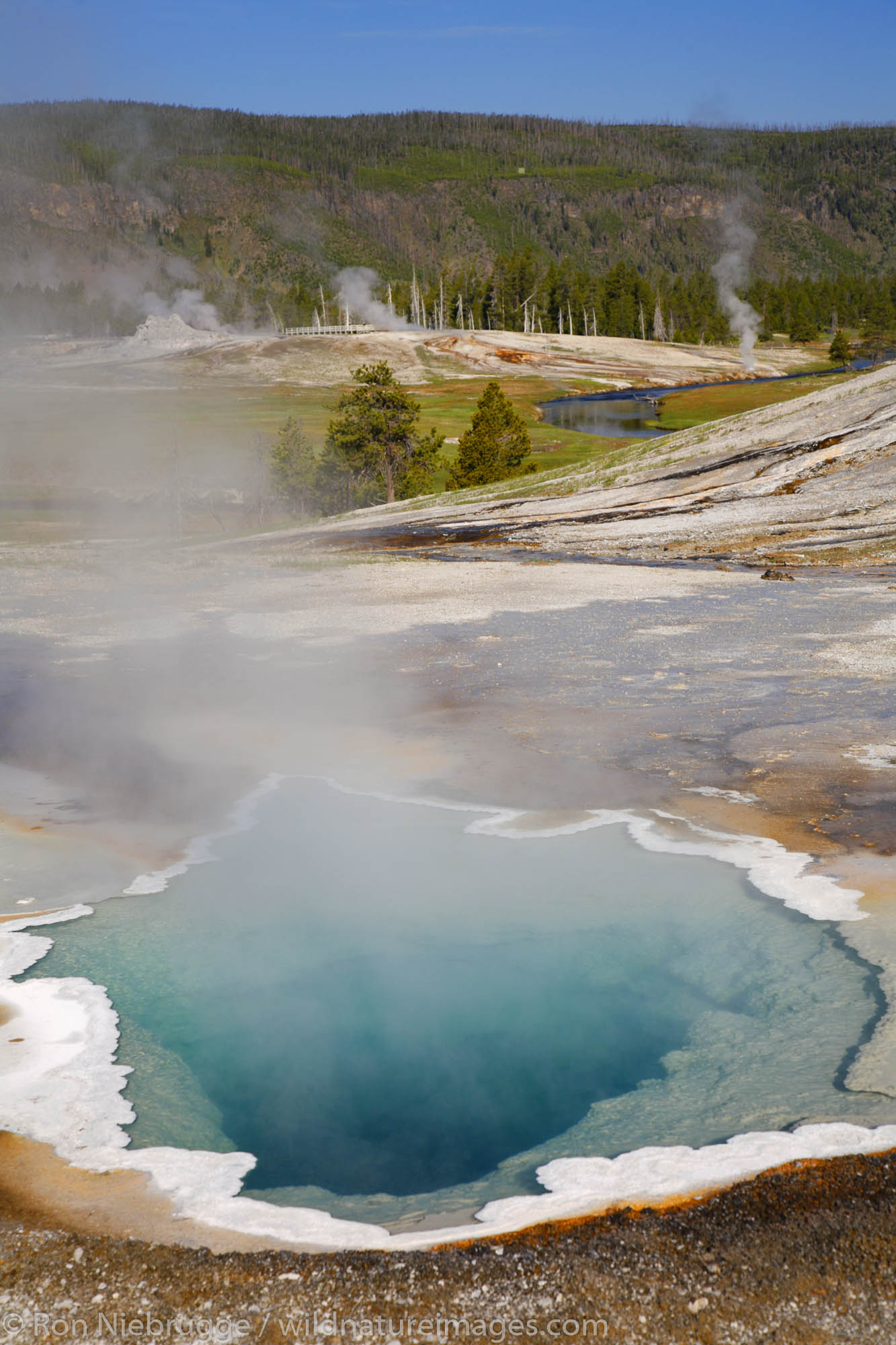 Heart Spring, Upper Geyser Basin, Yellowstone National Park, Wyoming.