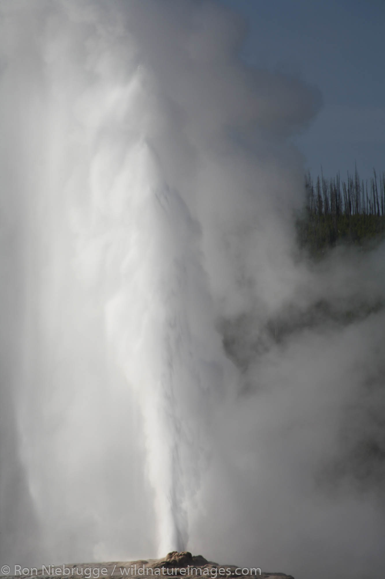 Old Faithful gyser, Yellowstone National Park, Wyoming.