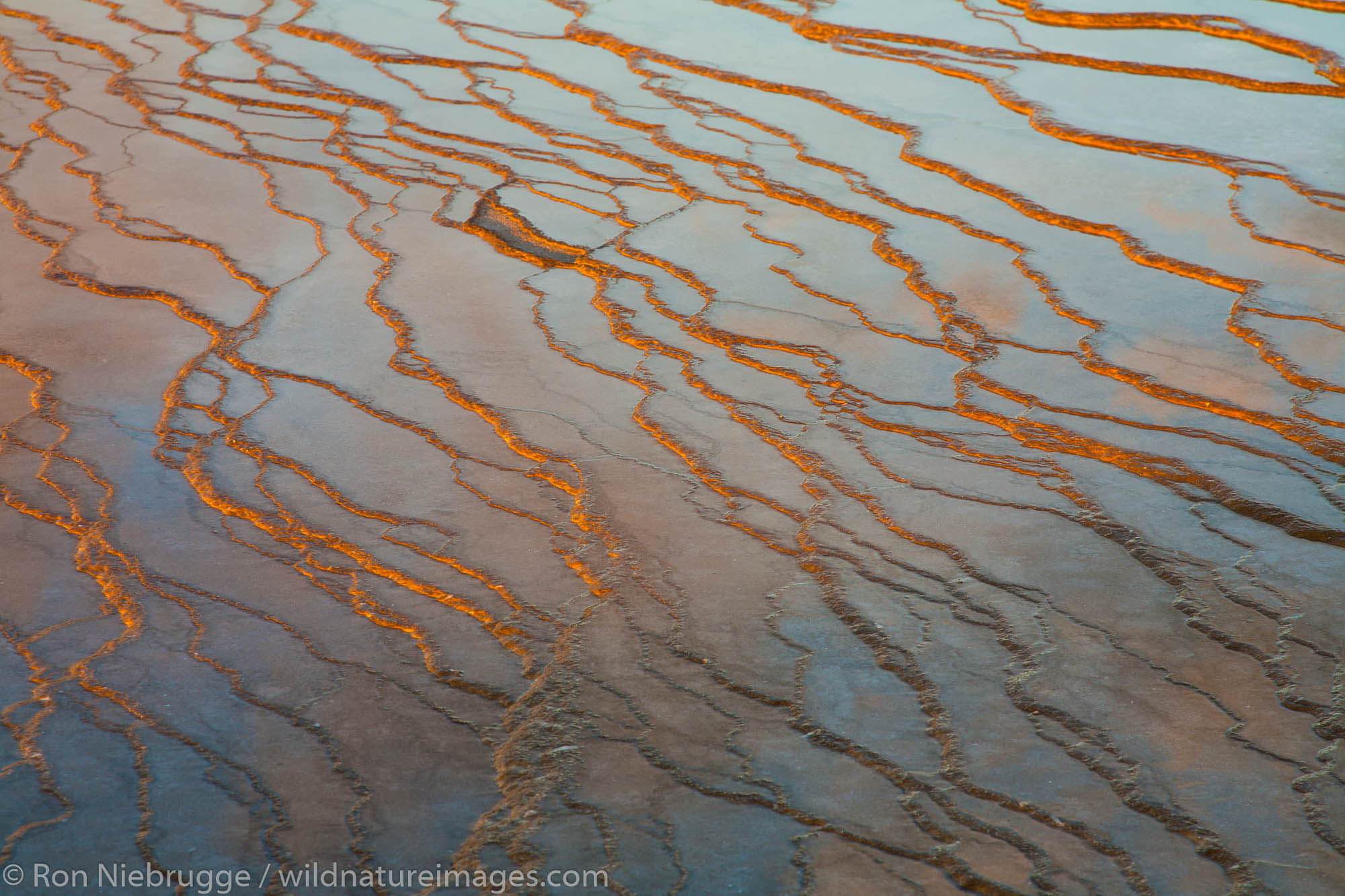 Grand Prismatic Spring, Midway Getser Basin, Yellowstone National Park, Wyoming.