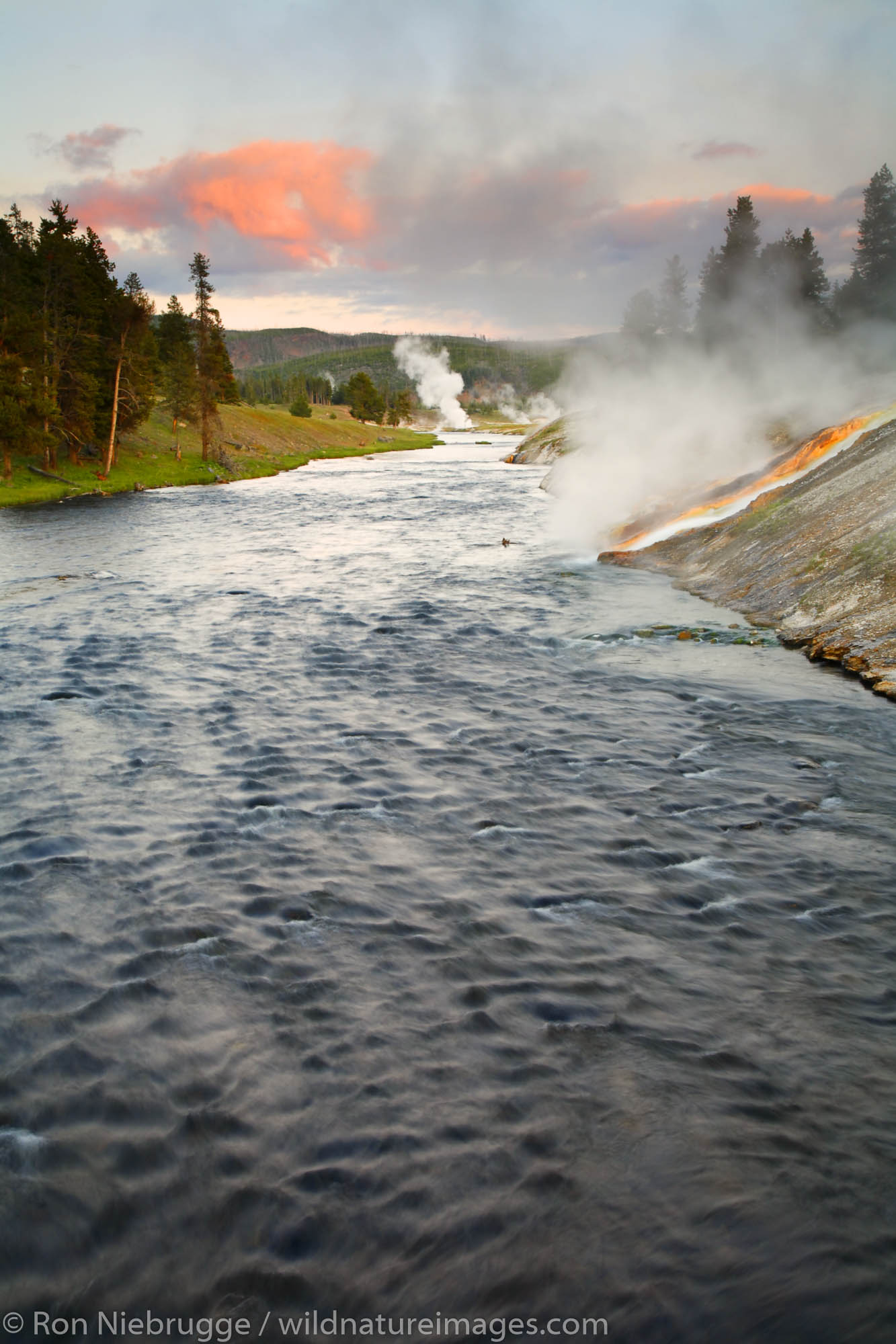 Water from the Grand Prismatic Spring flows into the Firehole River, Midway Geyser Basin, Yellowstone National Park, Wyoming.