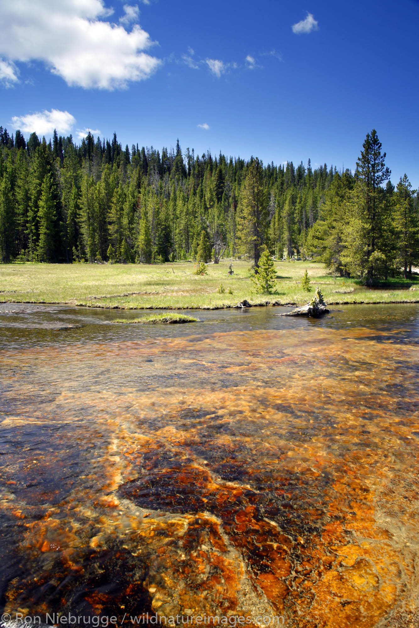 Firehole River, Yellowstone National Park, Wyoming.