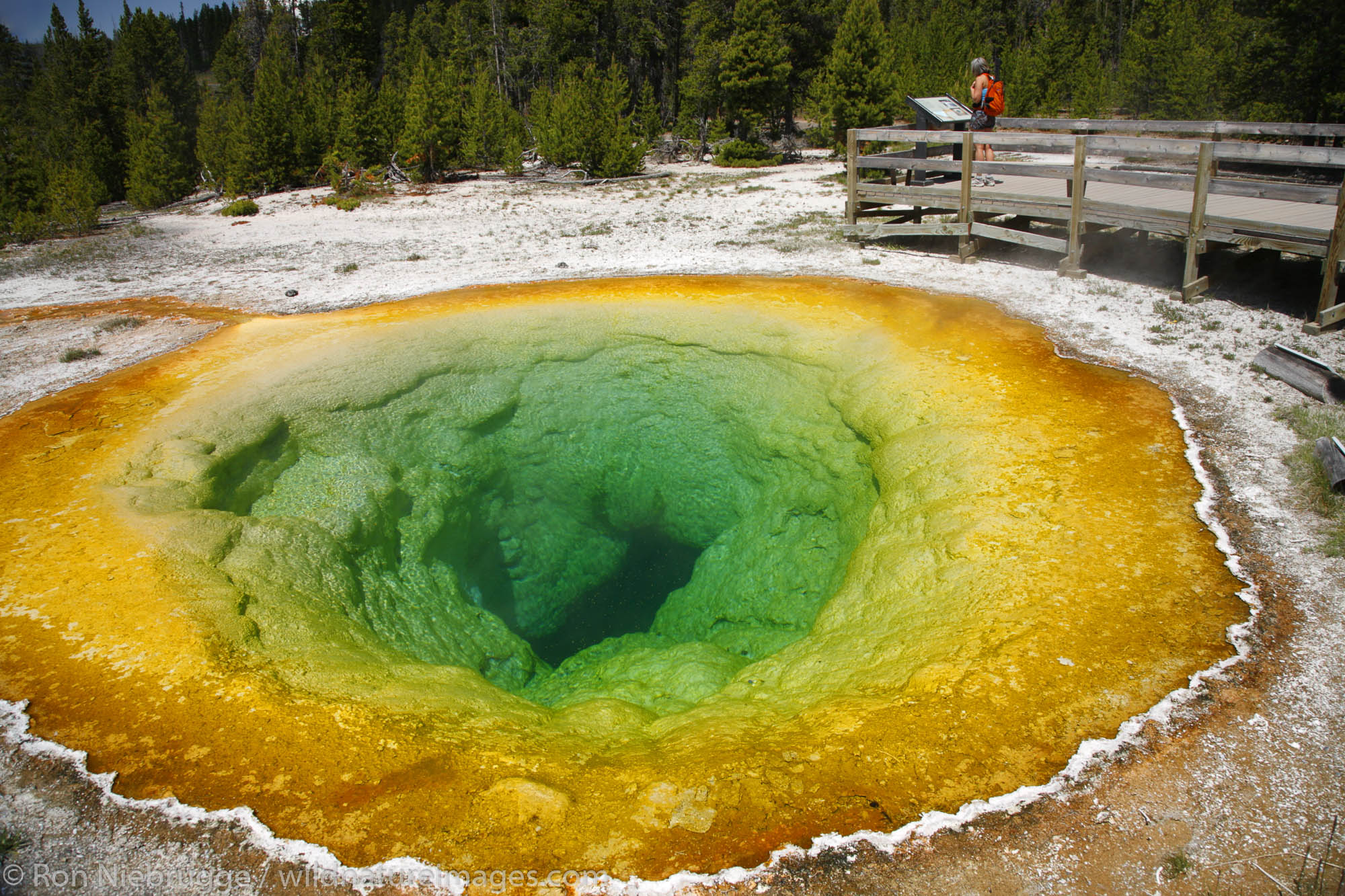 A visitor at the Morning Glory Pool, Yellowstone National Park, Wyoming.