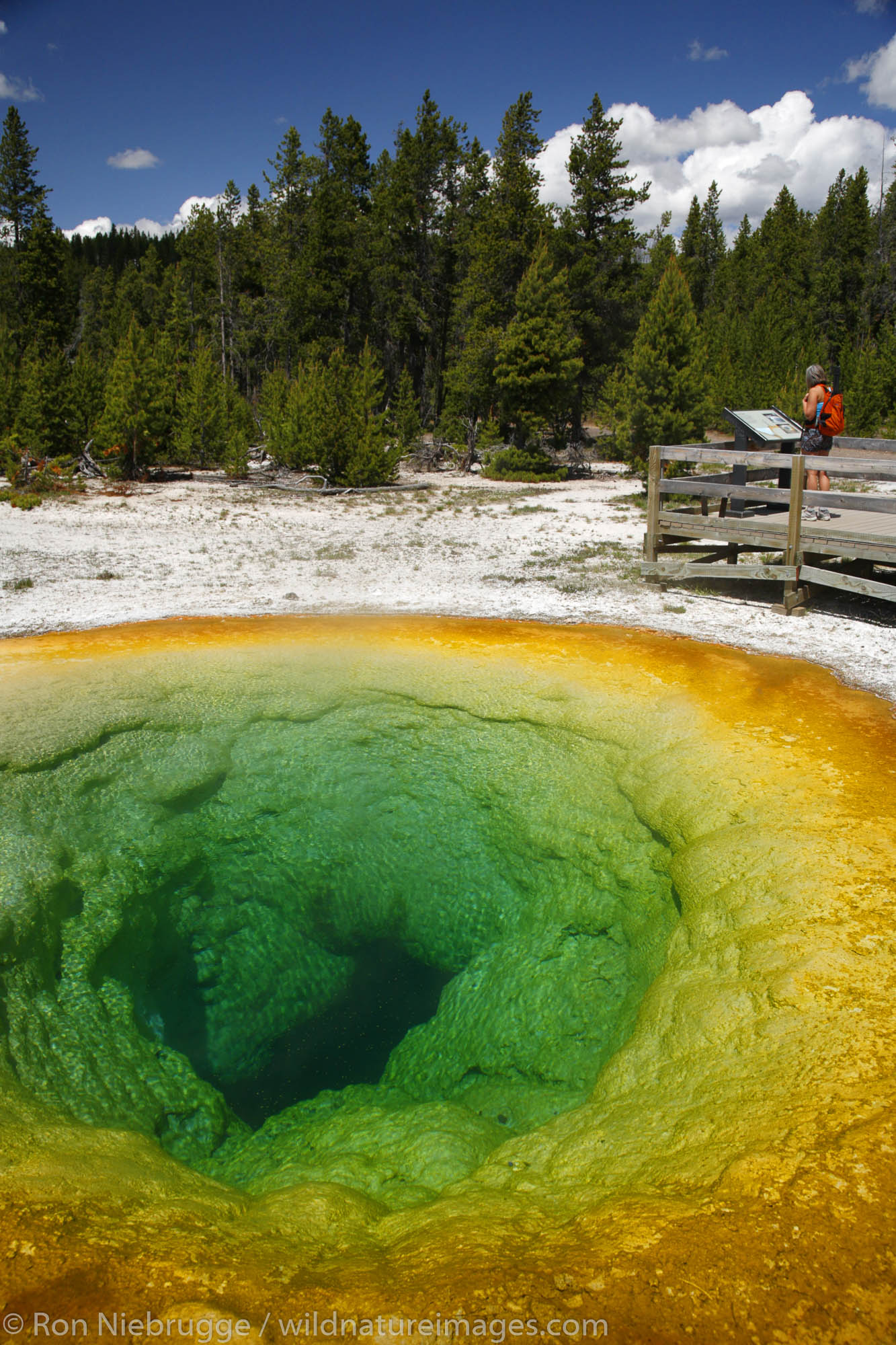 A visitor at the Morning Glory Pool, Yellowstone National Park, Wyoming.